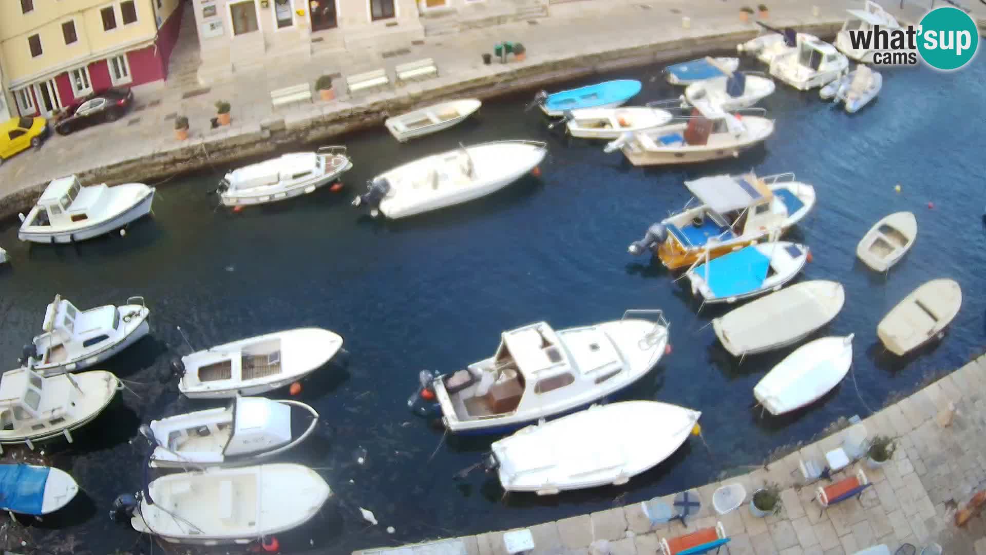 Veli Lošinj livecam – Carre