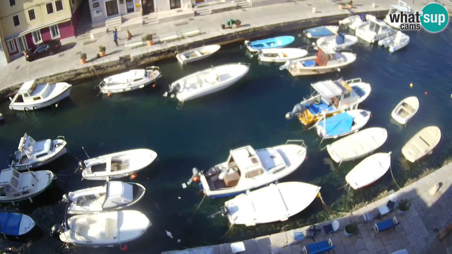 Veli Lošinj web kamera – trgič