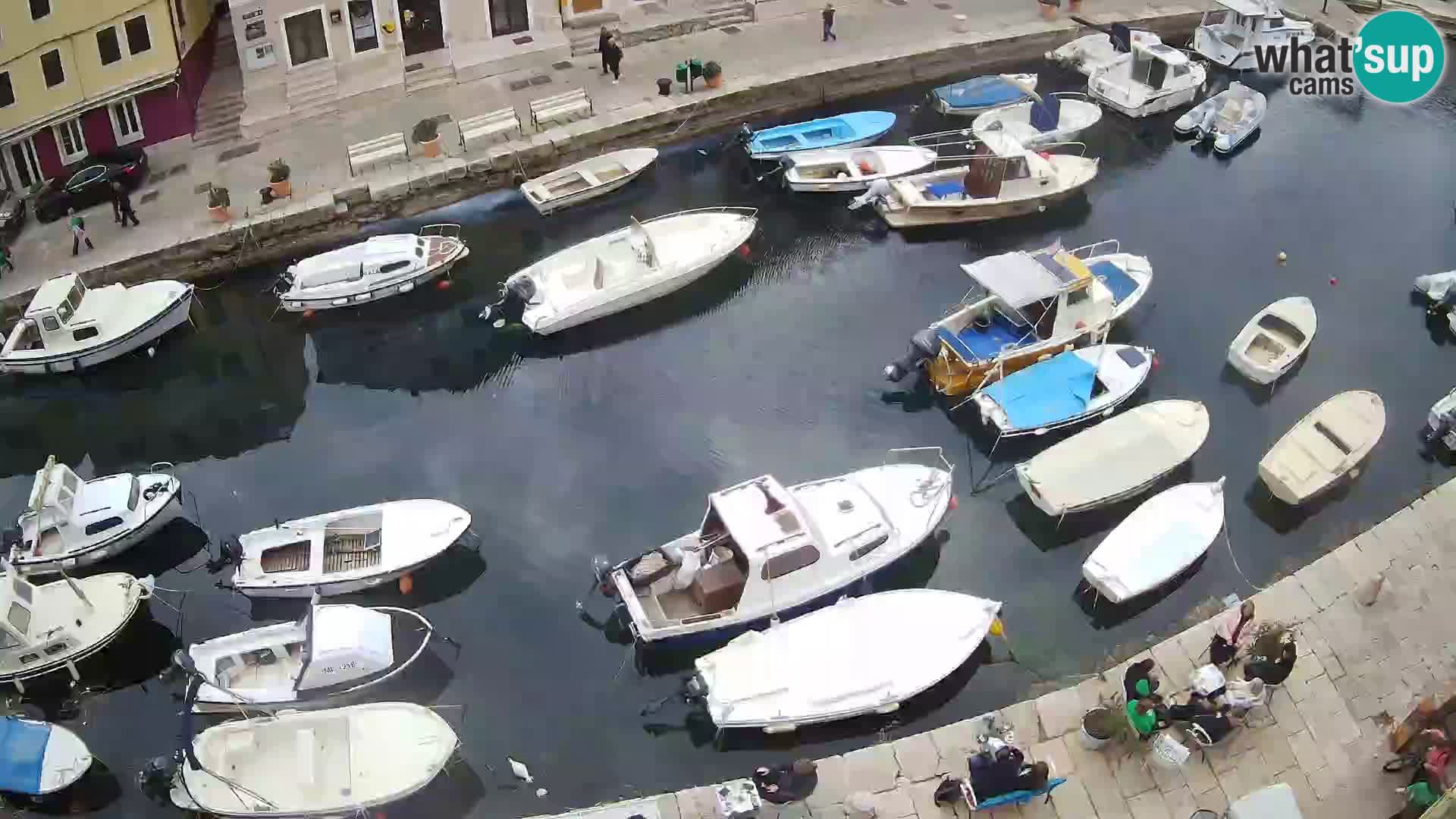 Veli Lošinj web kamera – trgič