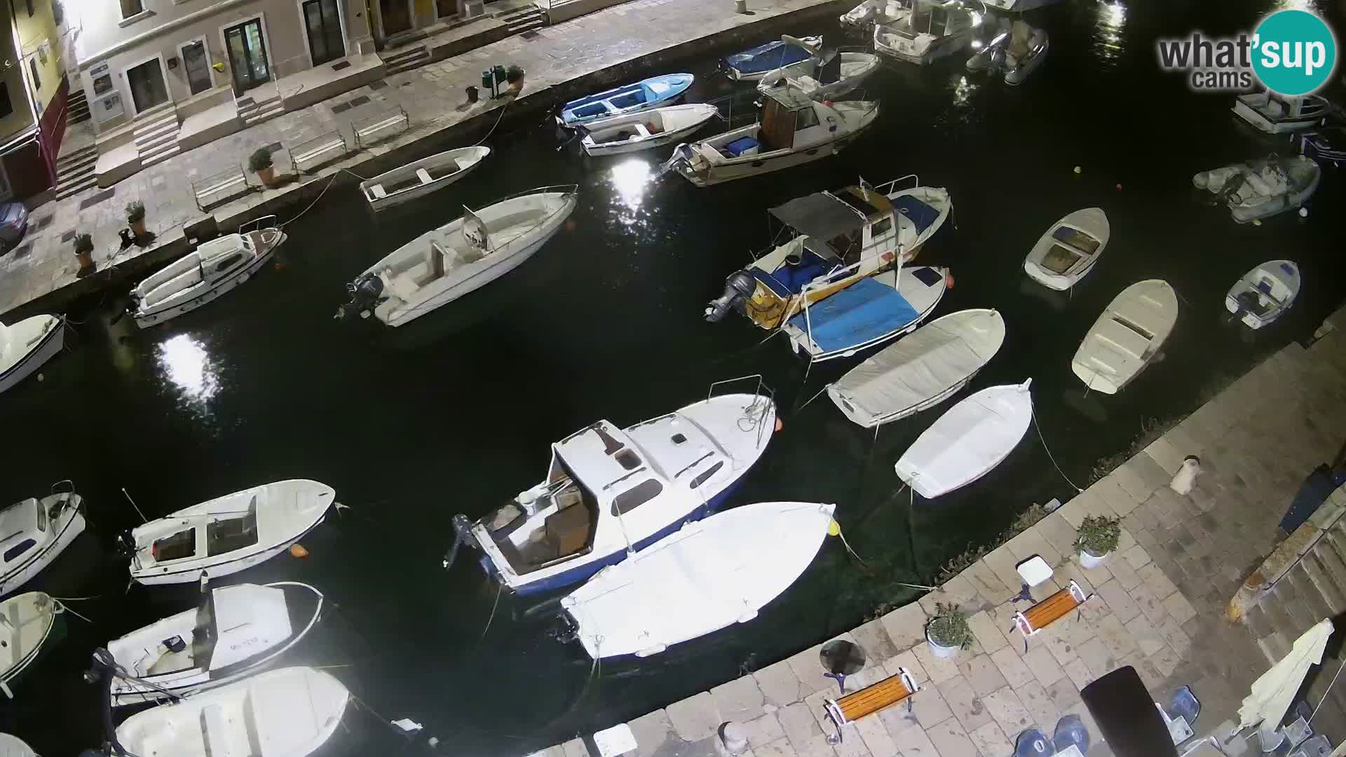 Veli Lošinj livecam – Carre