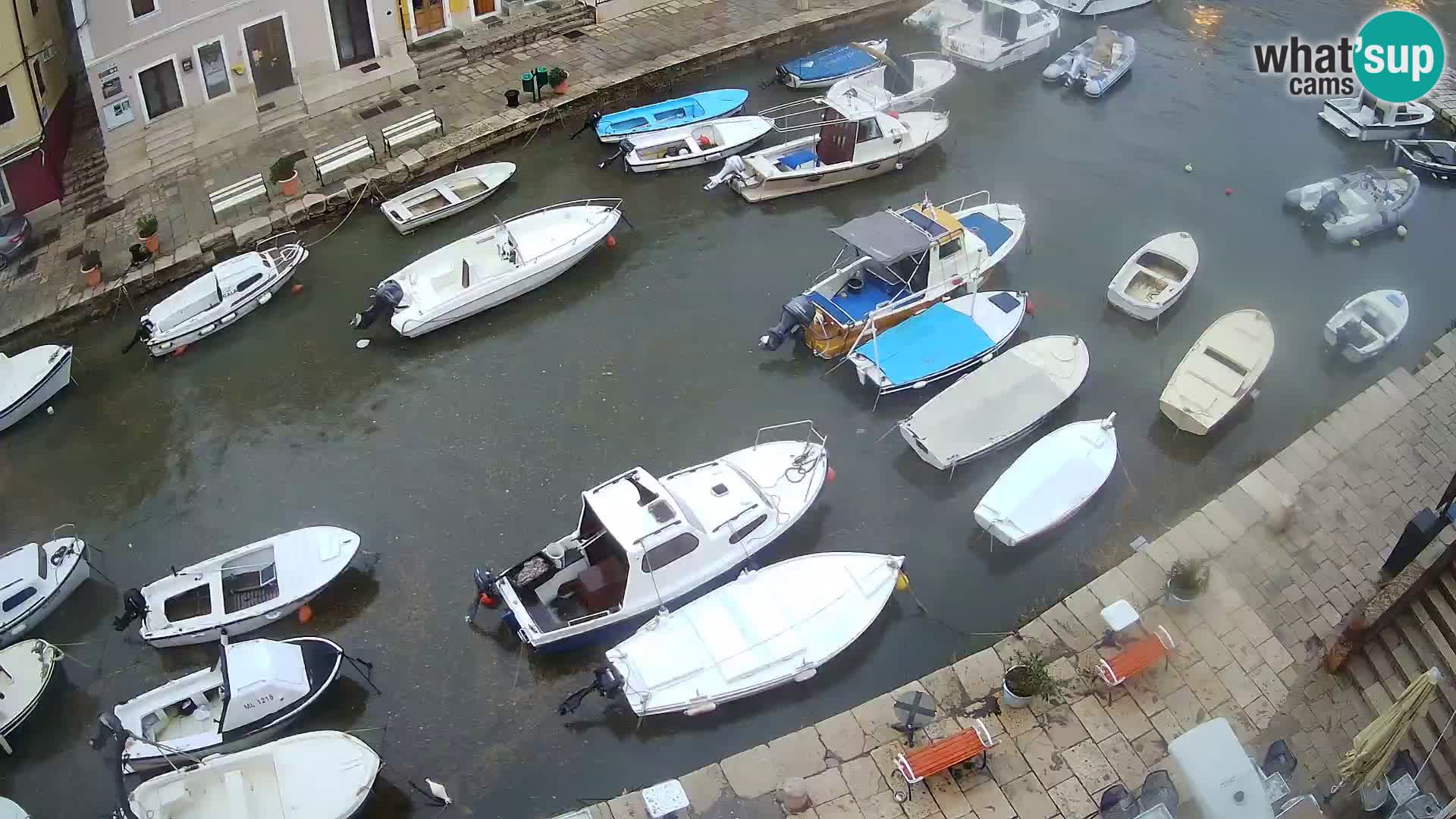 Veli Lošinj livecam – platz