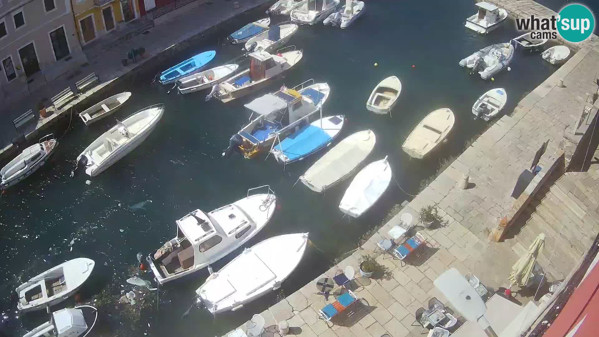 Veli Lošinj camera en vivo – plaza