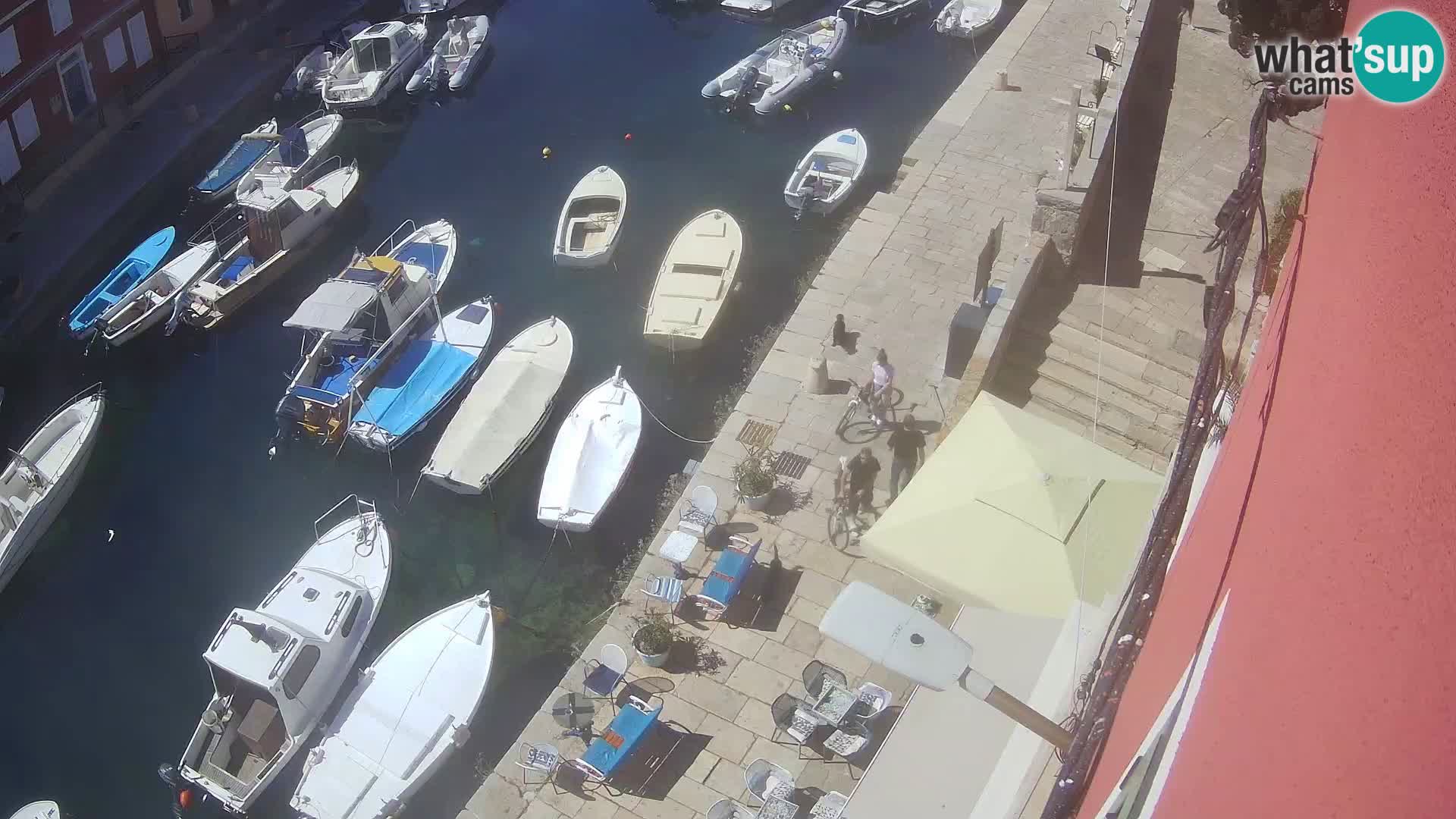 Veli Lošinj livecam – Carre