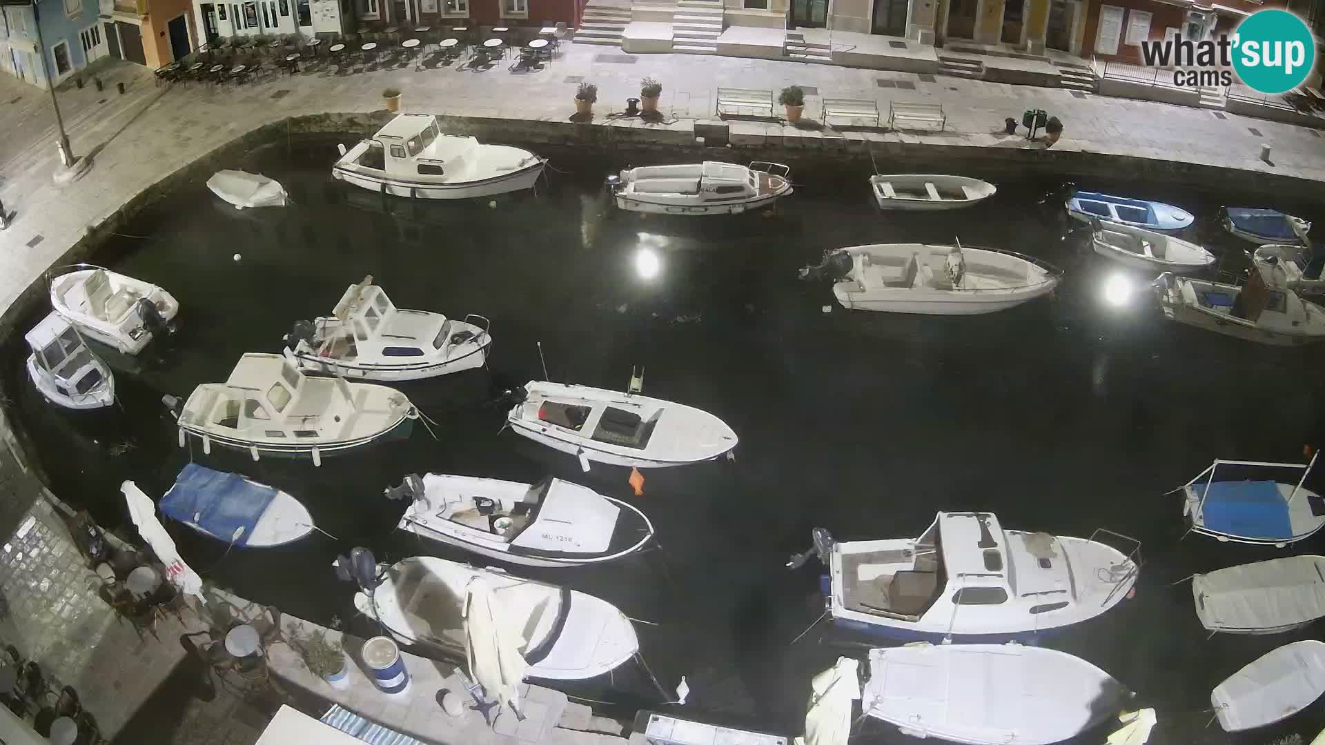 Veli Lošinj livecam – Carre