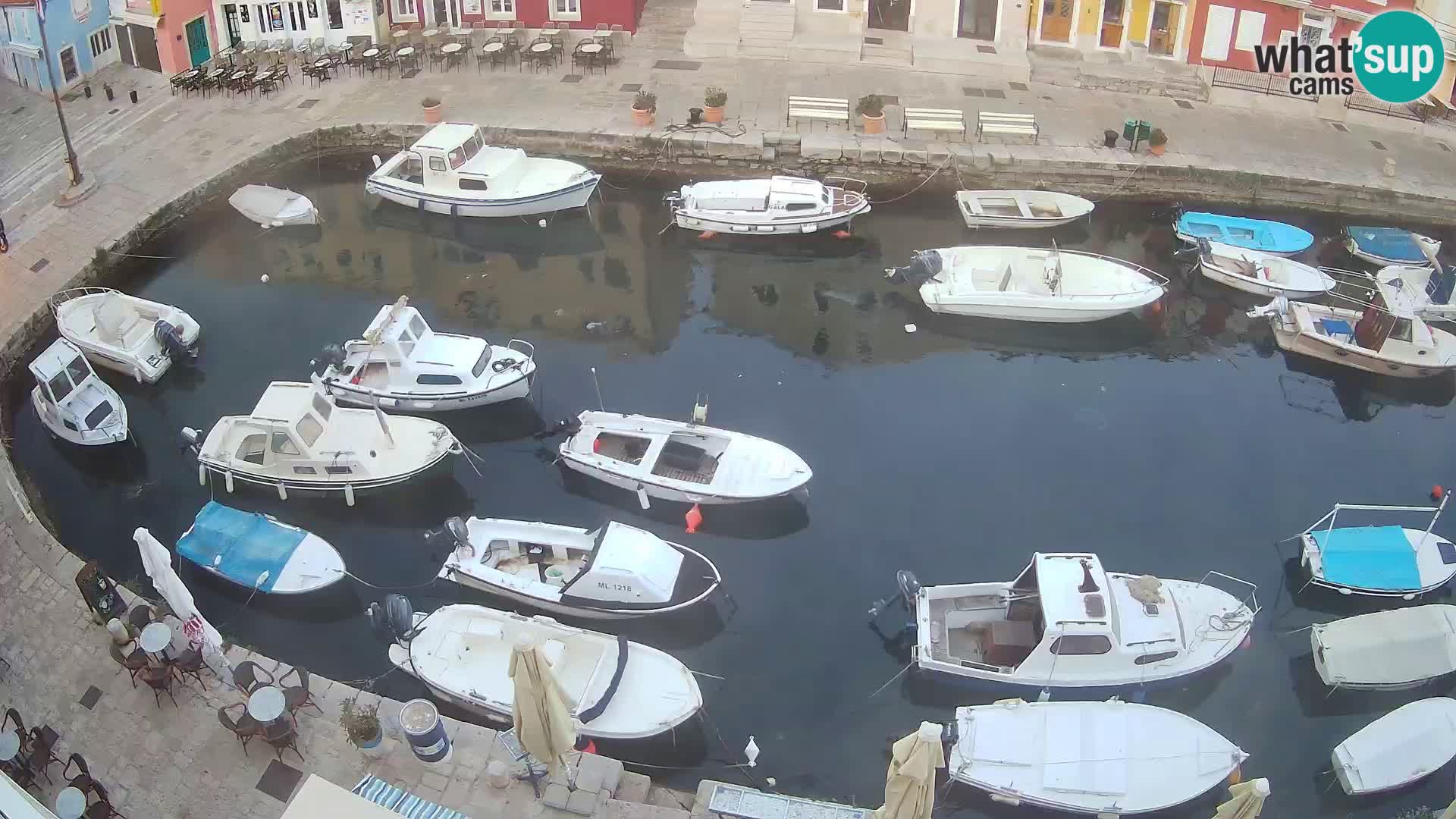 Veli Lošinj livecam – Carre
