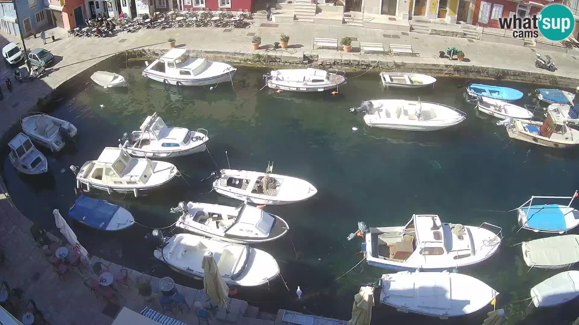 Veli Lošinj livecam – Carre