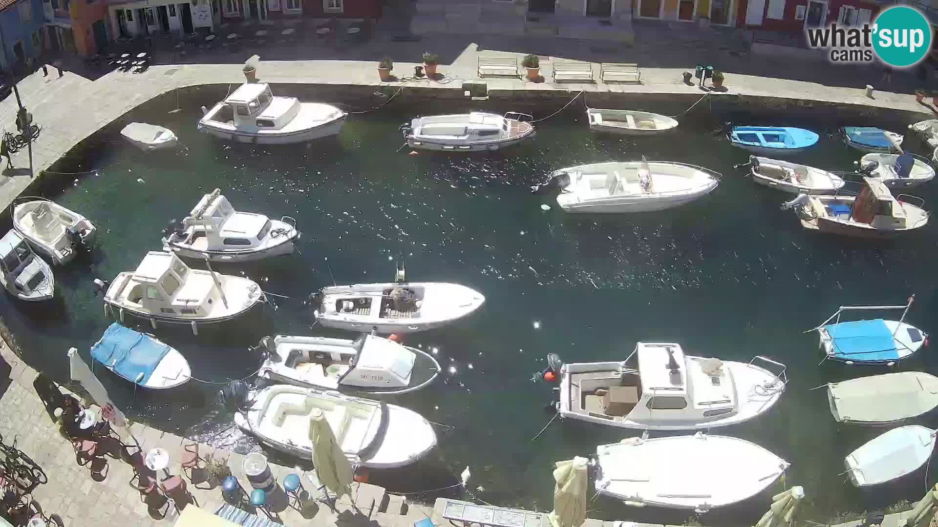 Veli Lošinj camera en vivo – plaza