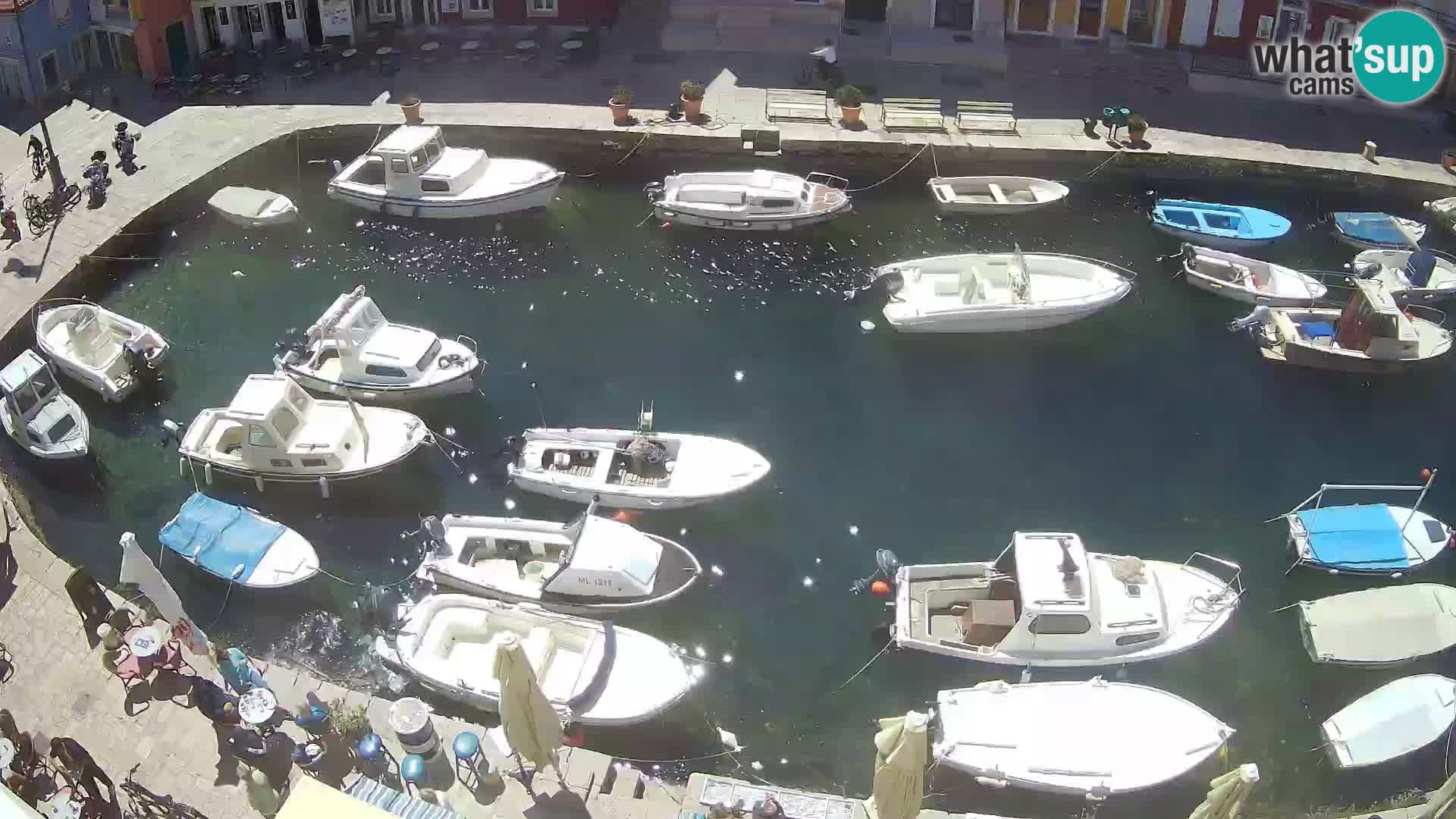 Veli Lošinj web kamera – trgič