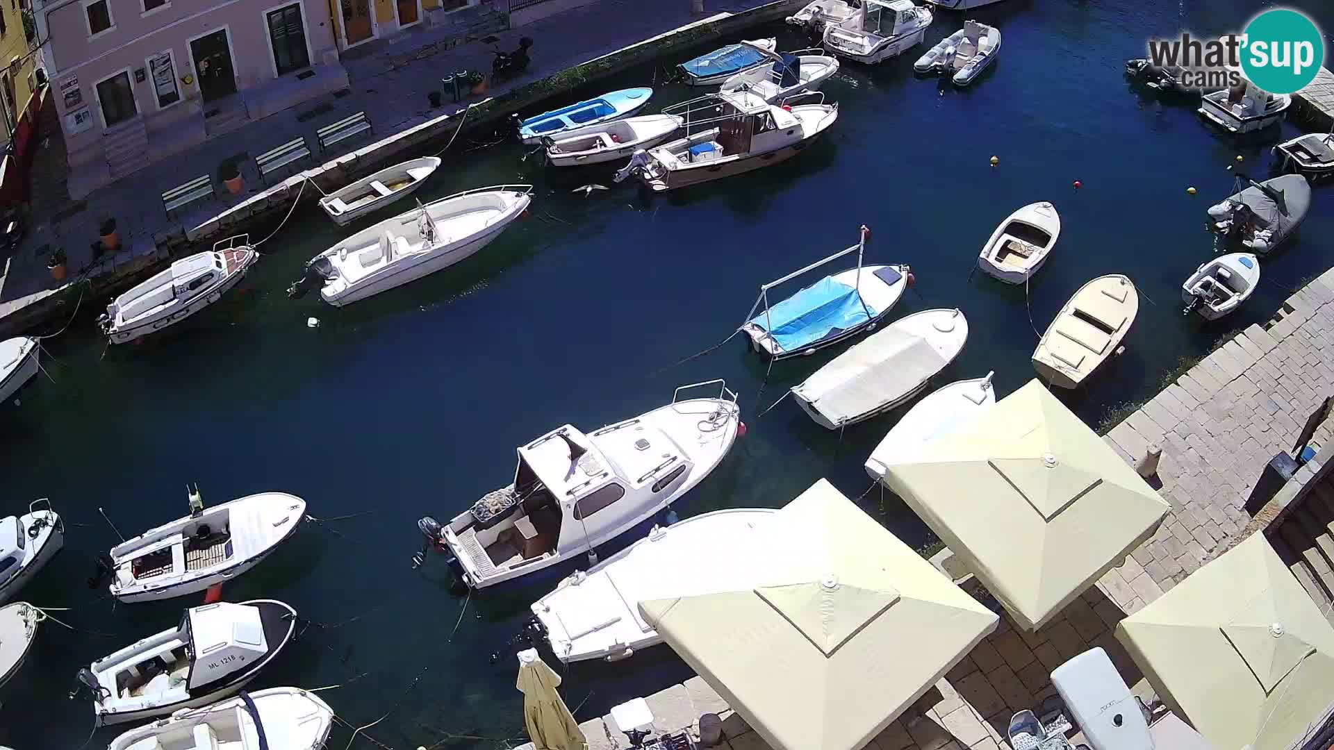 Veli Lošinj web kamera – trgič