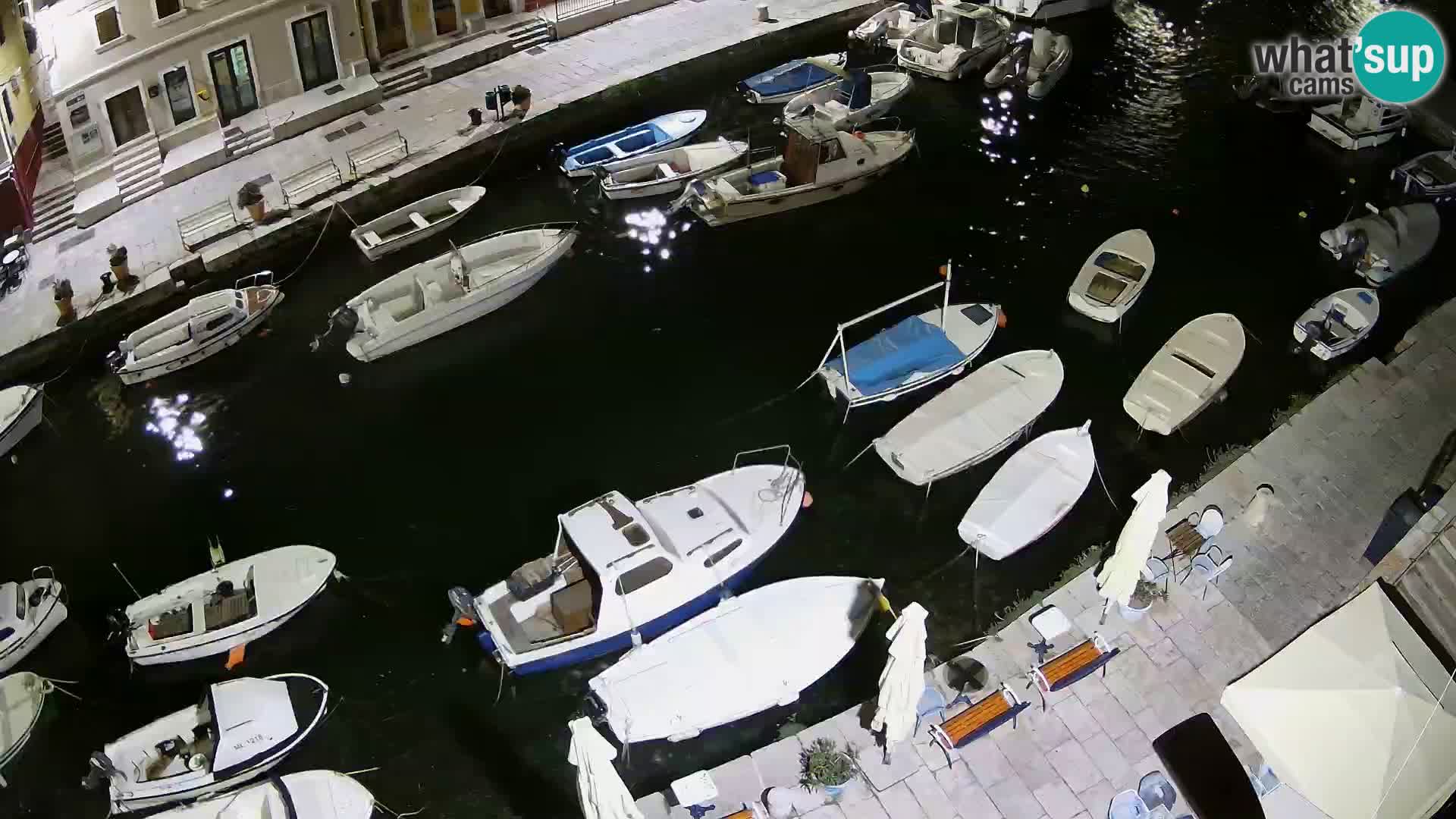 Veli Lošinj livecam – Carre