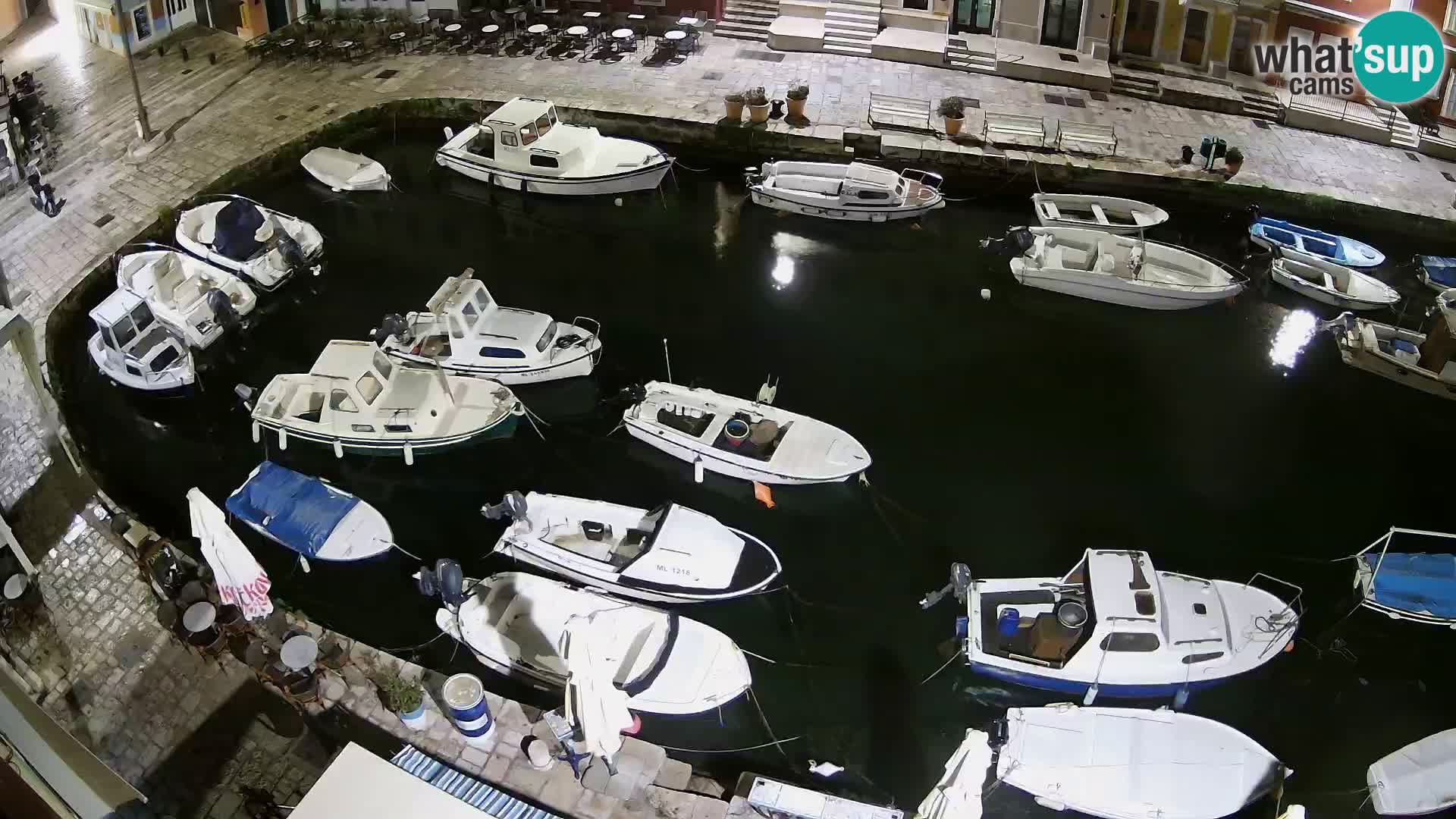 Veli Lošinj camera en vivo – plaza
