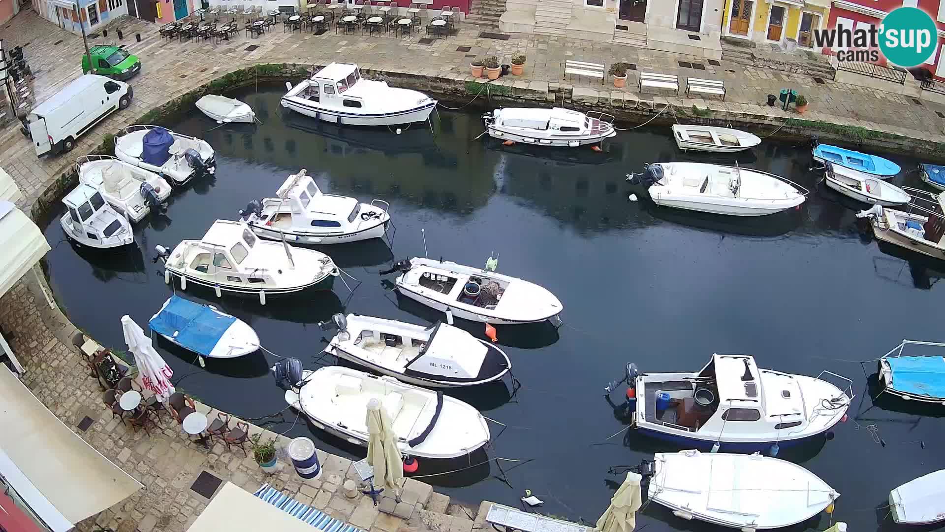 Veli Lošinj livecam – Carre