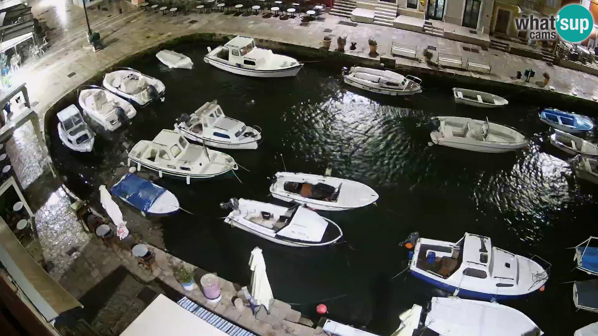 Veli Lošinj livecam – Carre