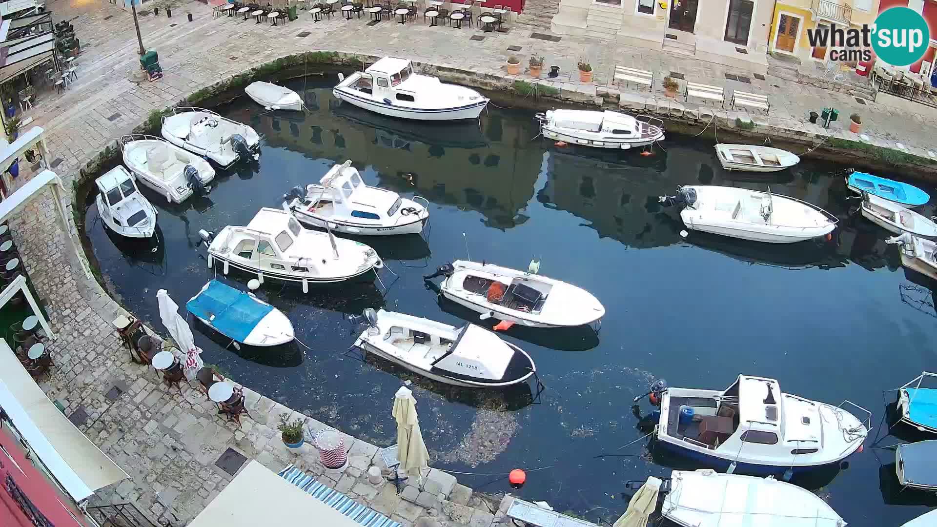 Veli Lošinj livecam – Carre