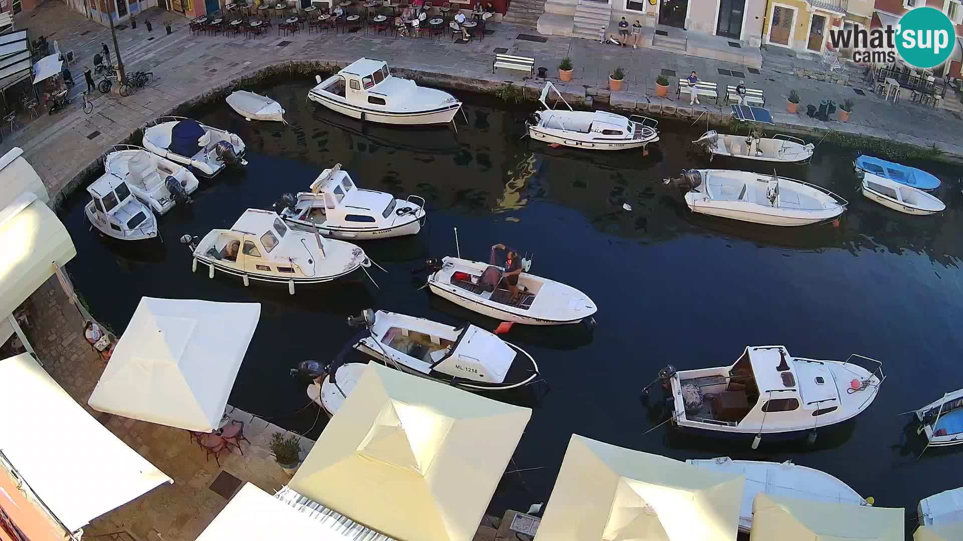 Veli Lošinj livecam – Carre