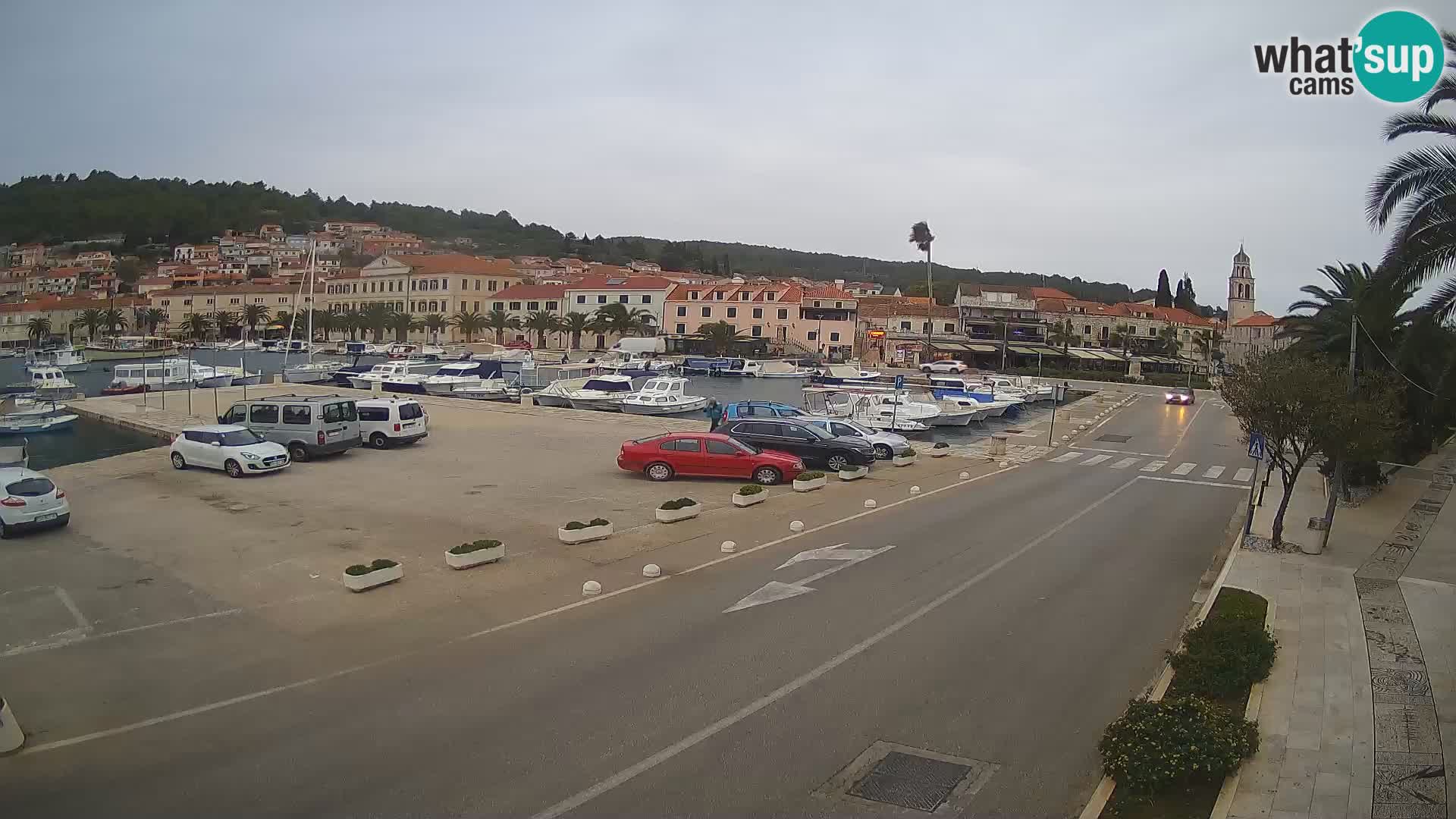 Vela Luka – Korčula