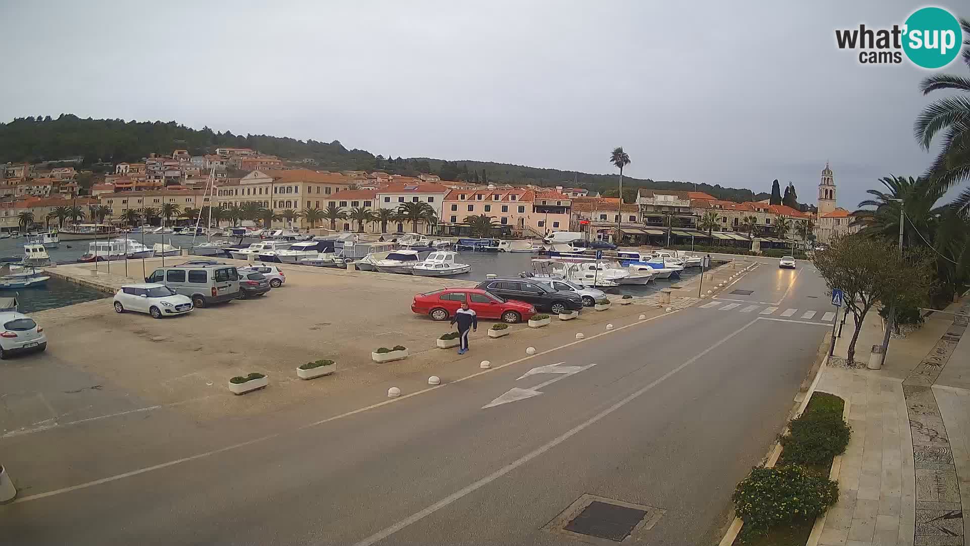 Vela Luka – Korčula