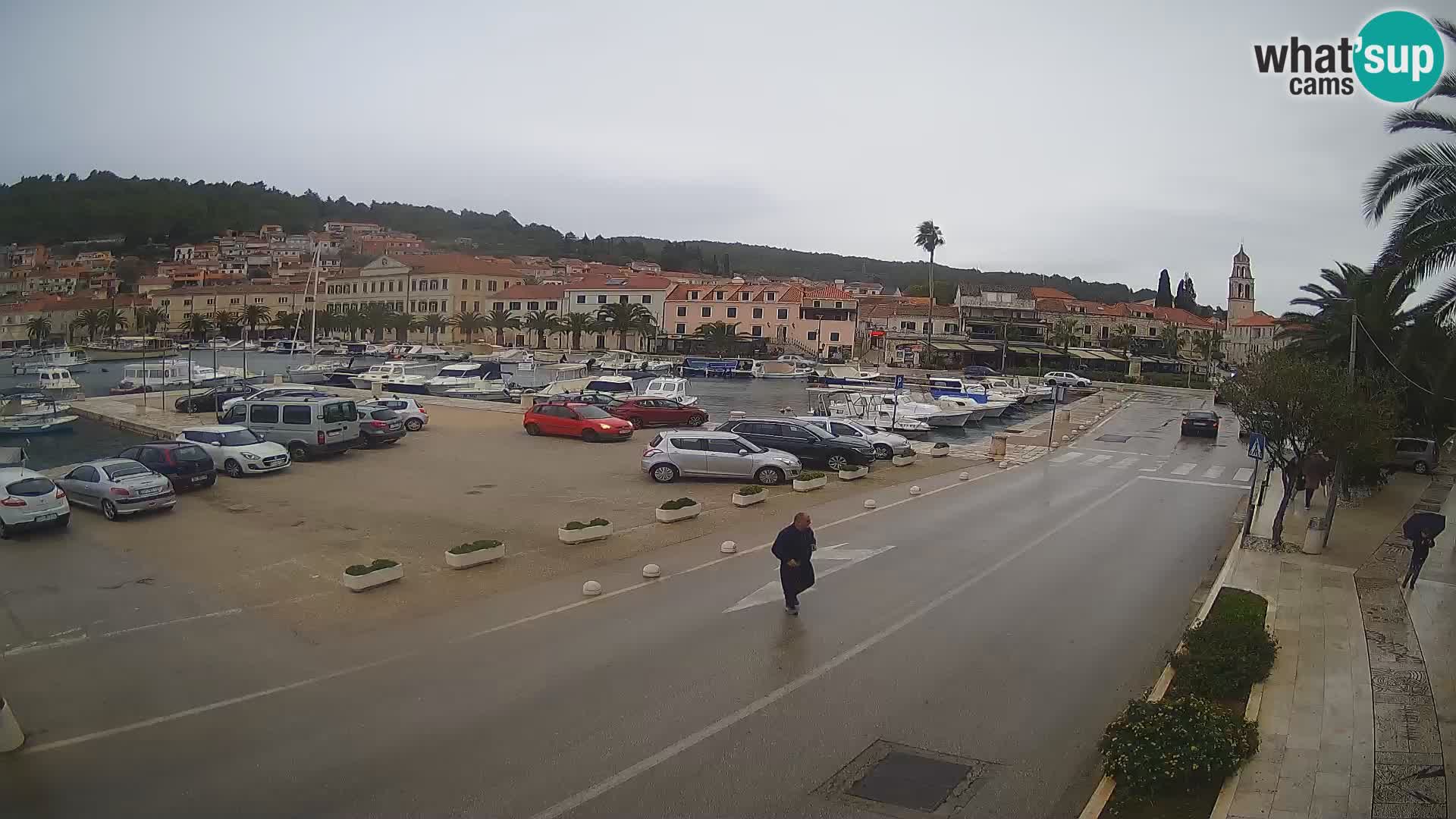 Vela Luka – Korčula