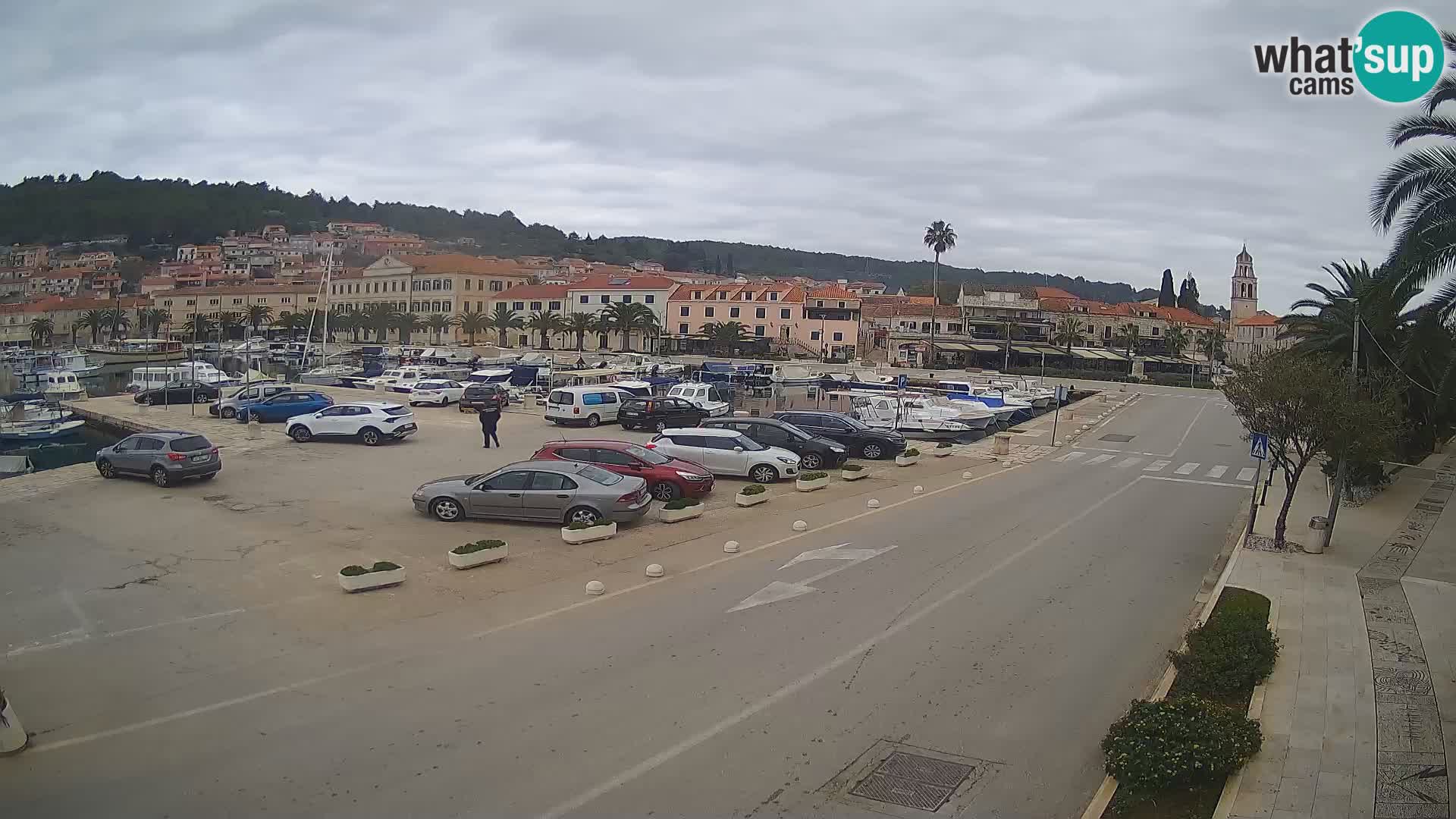 Vela Luka – Korčula