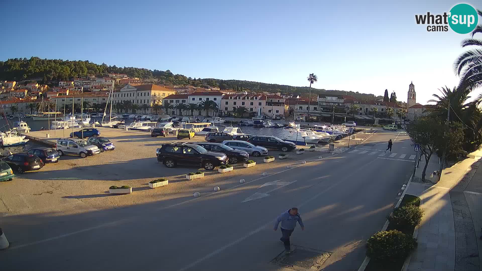 Vela Luka – Korčula – Webcam Live