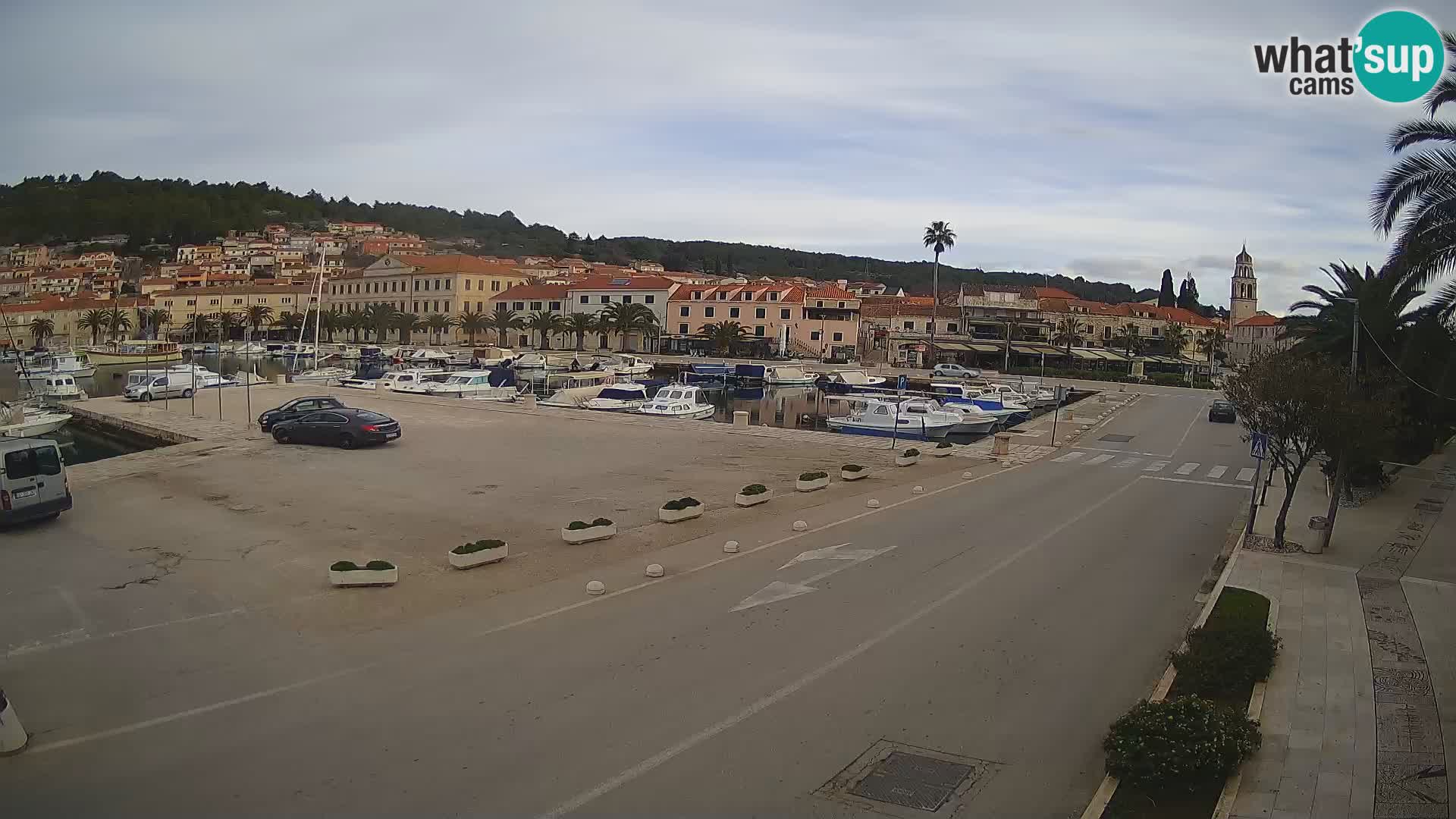 Vela Luka – Korčula – Webcam Live