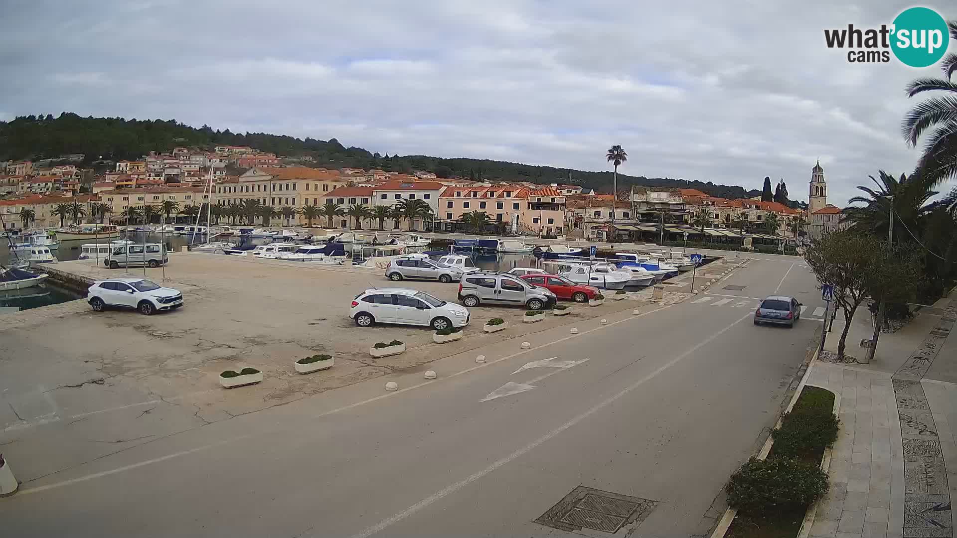 Vela Luka – Korčula