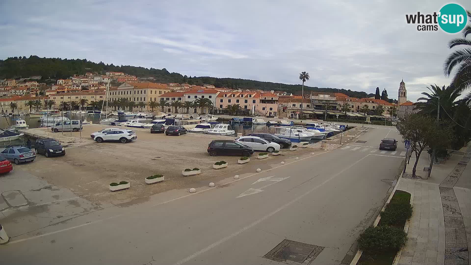 Vela Luka – Korčula – Webcam Live