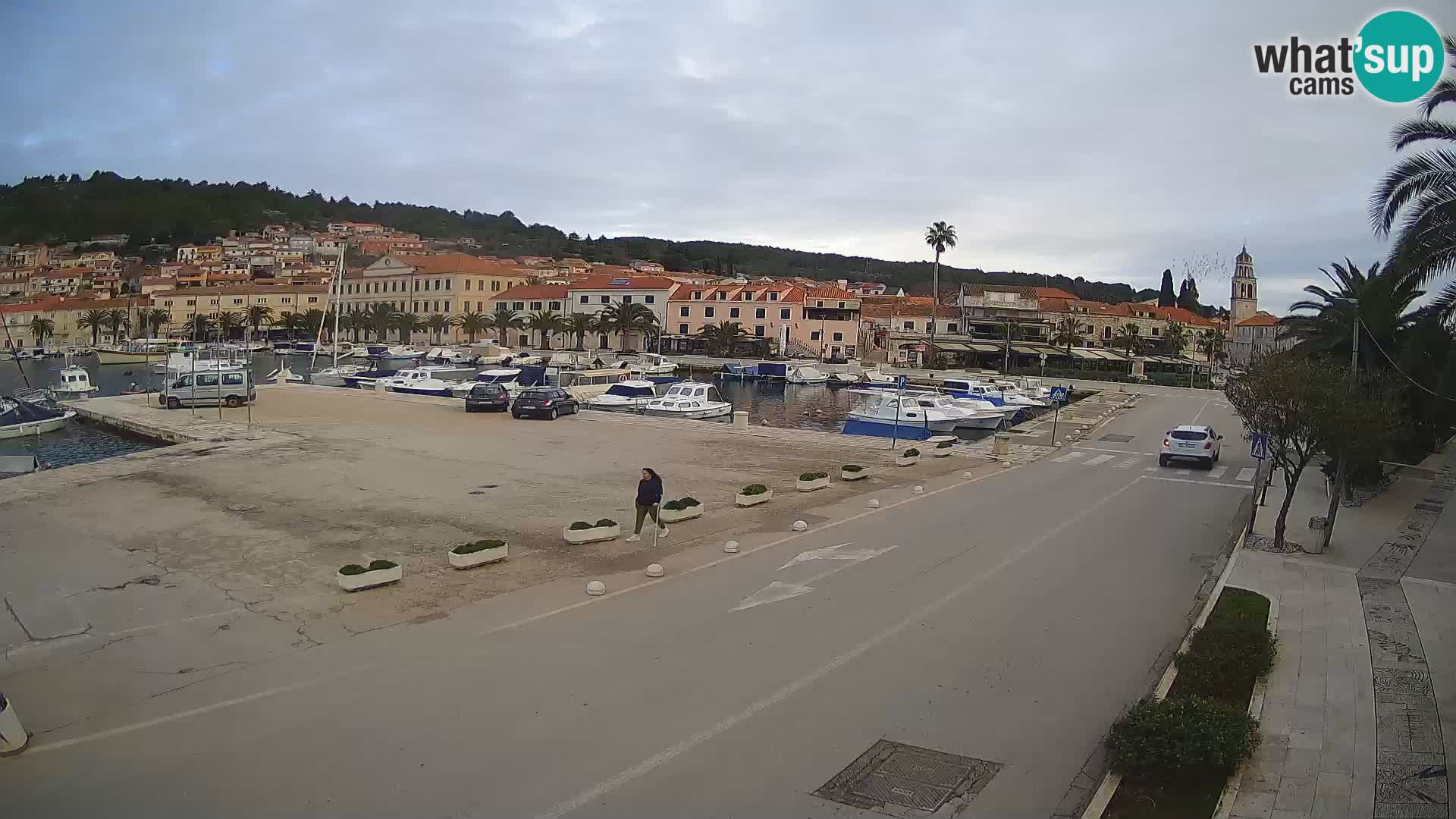 Vela Luka – Korčula – Webcam Live