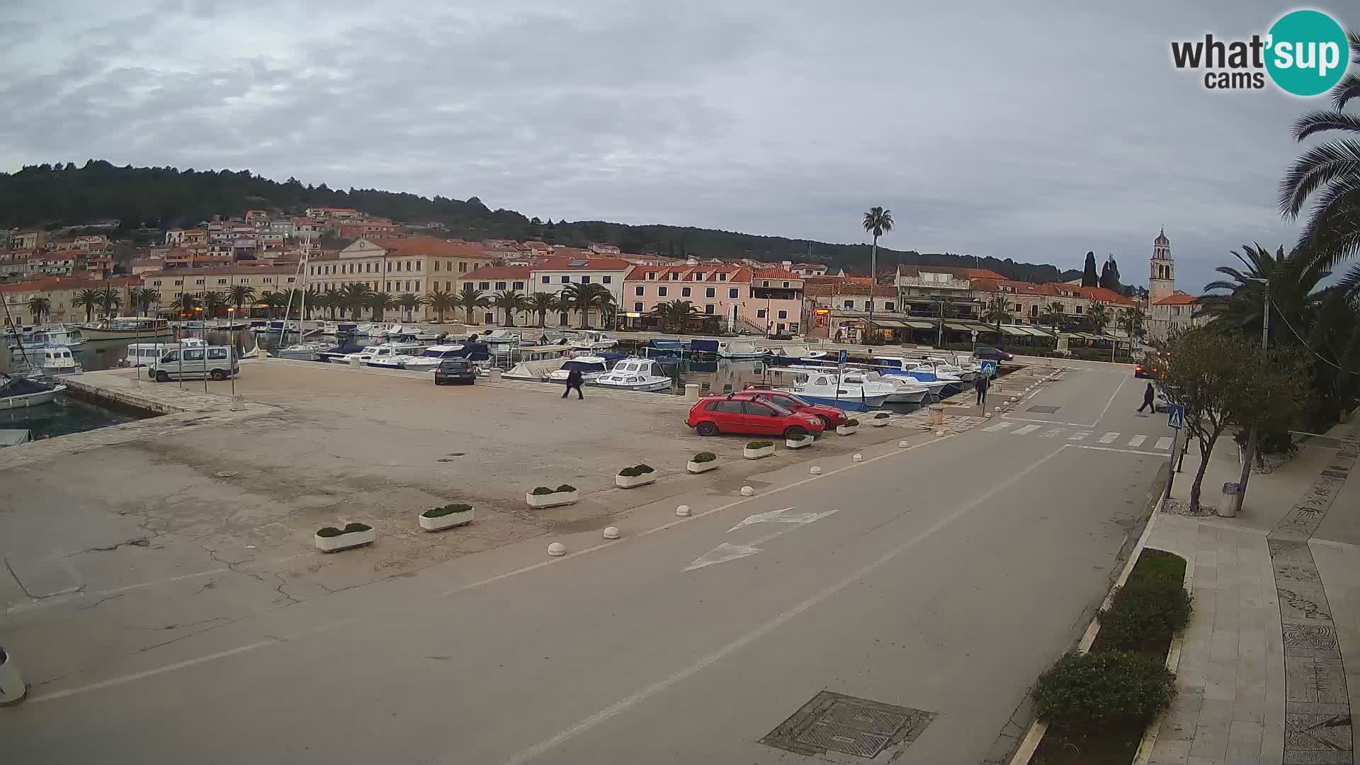 Vela Luka – Korčula – Webcam Live