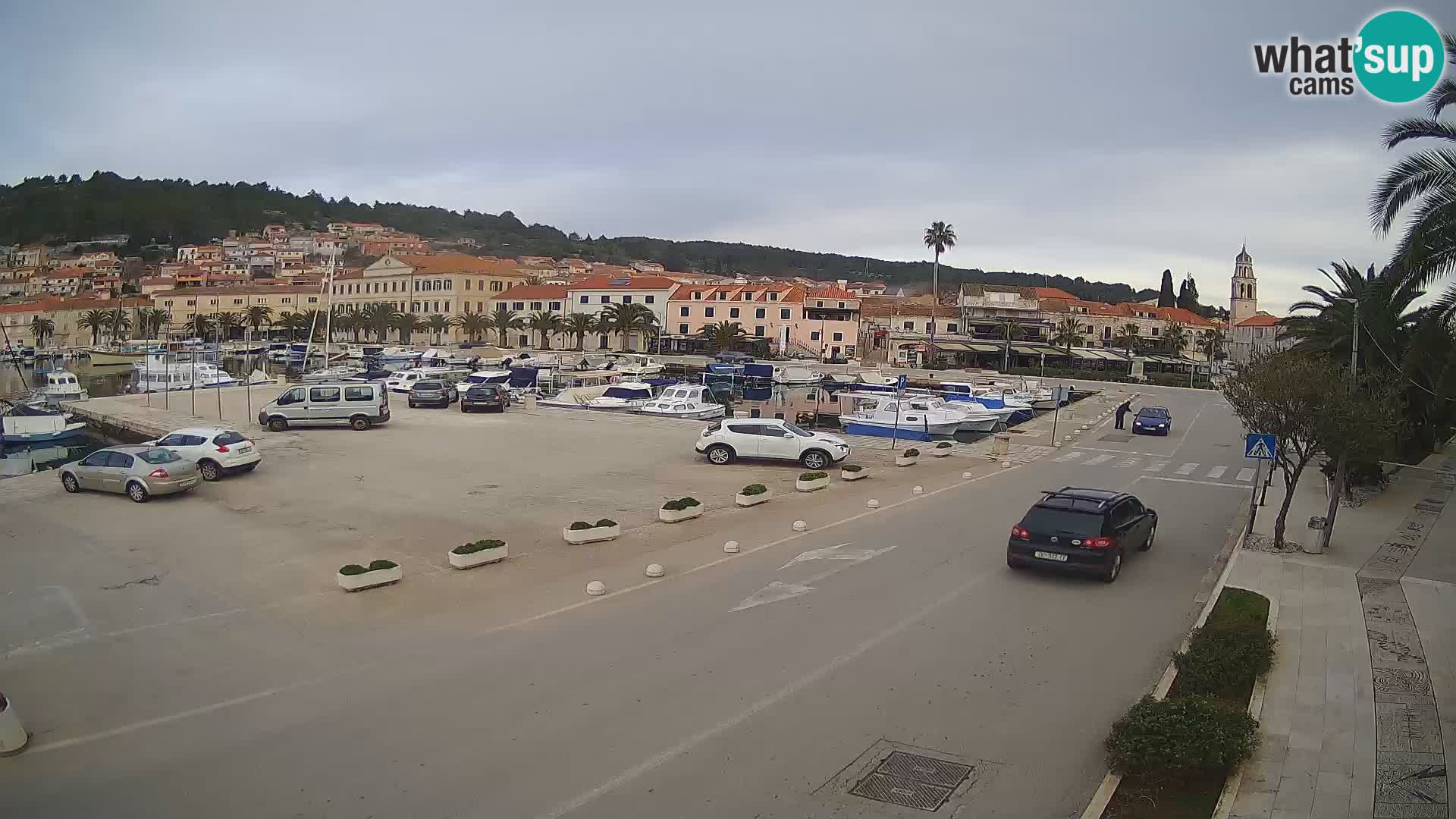 Vela Luka – Korčula – Webcam Live