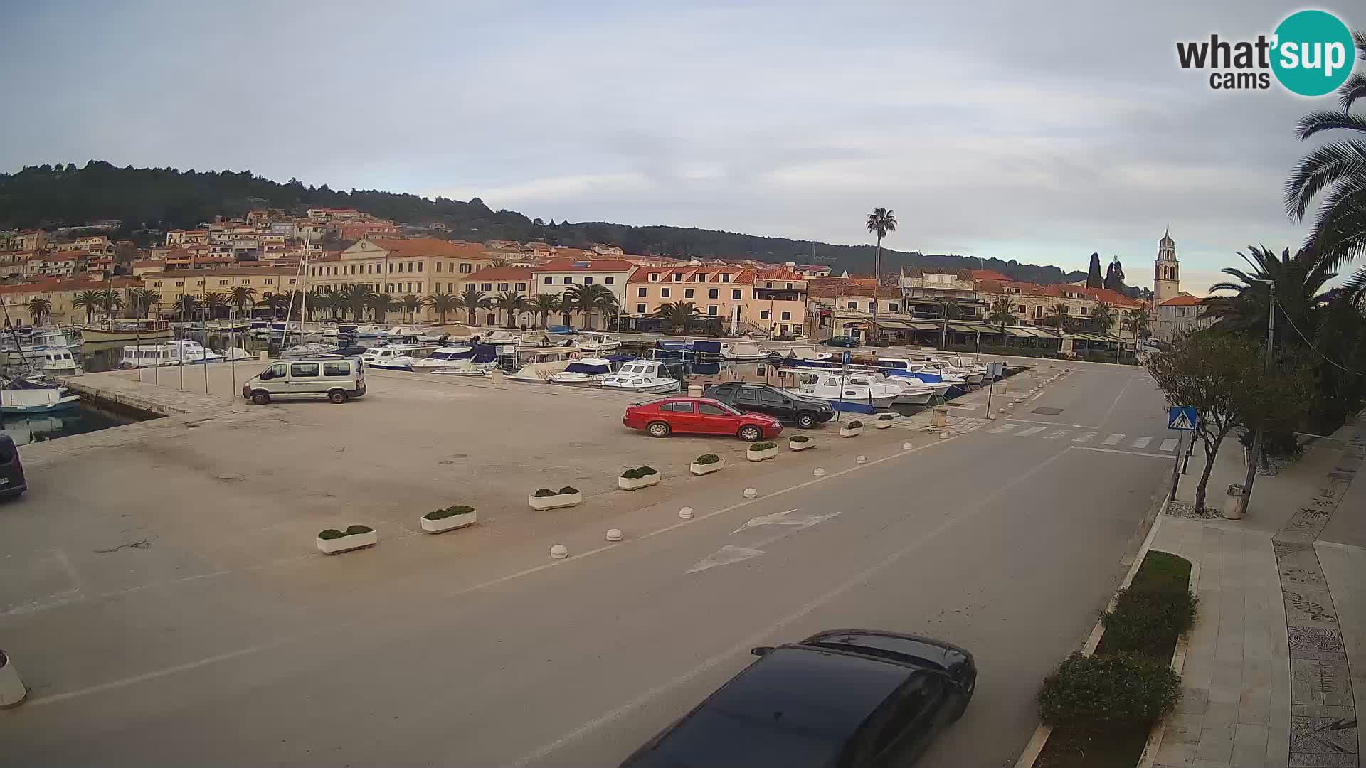 Vela Luka – Korčula – Webcam Live