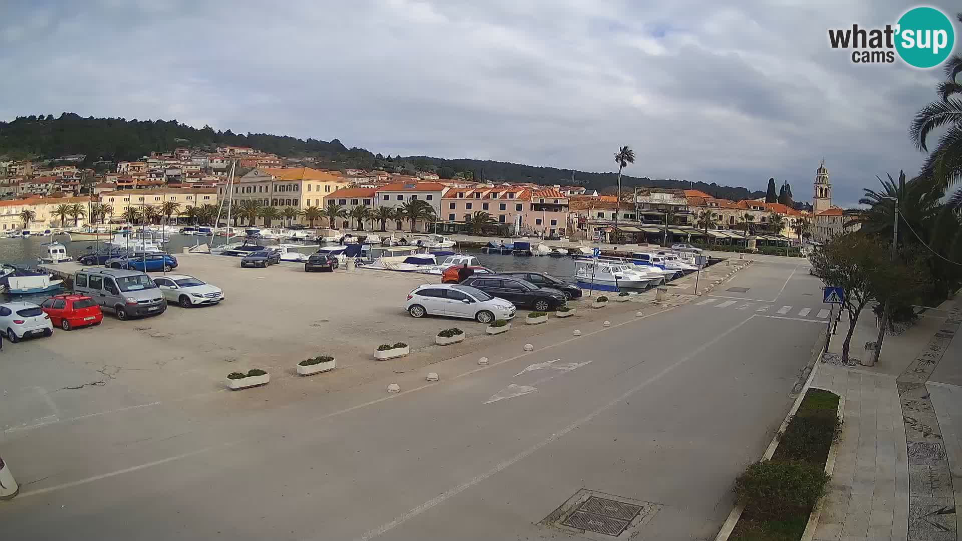 Vela Luka – Korčula – Webcam Live