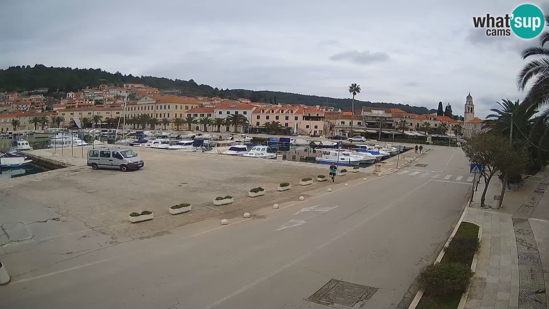 Vela Luka – Korčula – Webcam Live