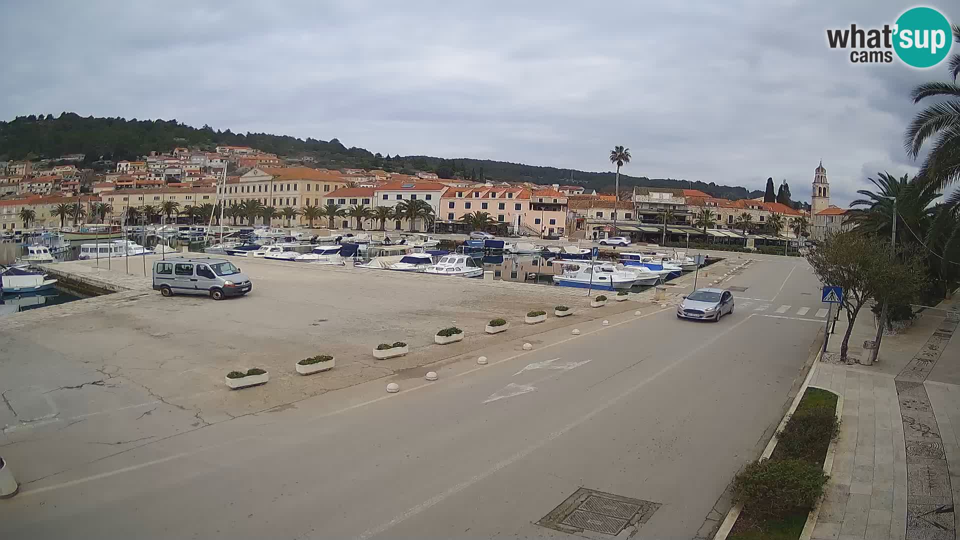 Vela Luka – Korčula – Webcam Live