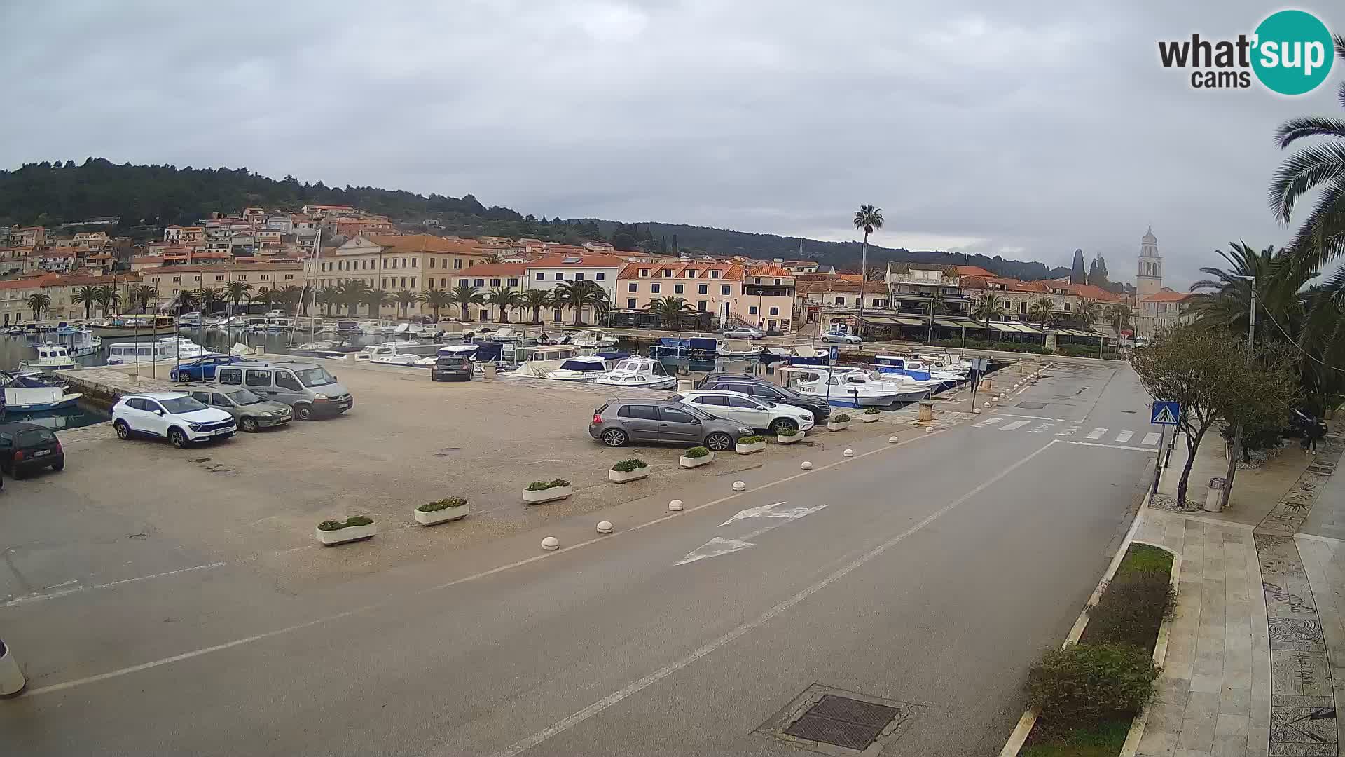 Vela Luka – Korčula – Webcam Live