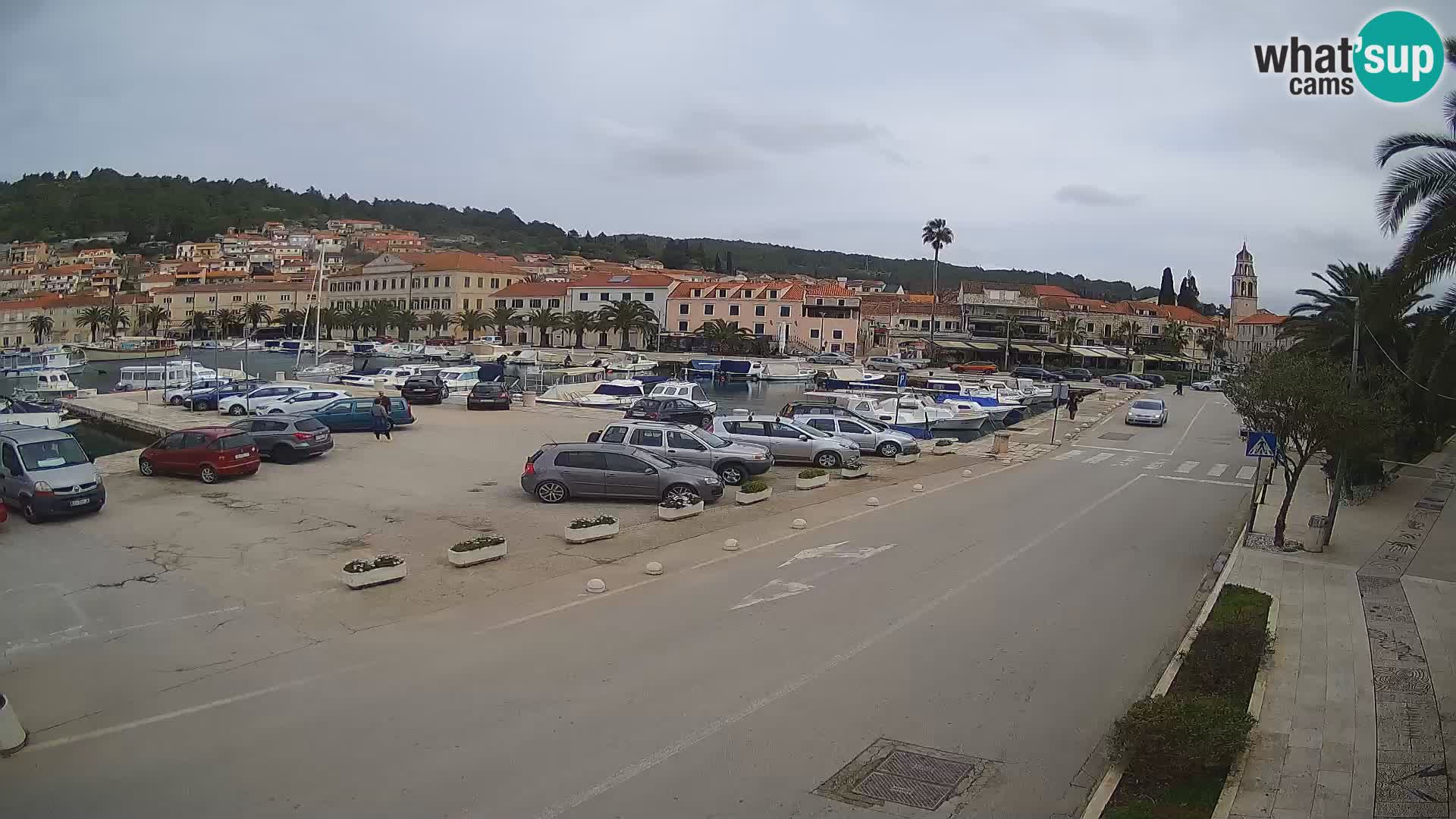 Vela Luka – Korčula – Webcam Live