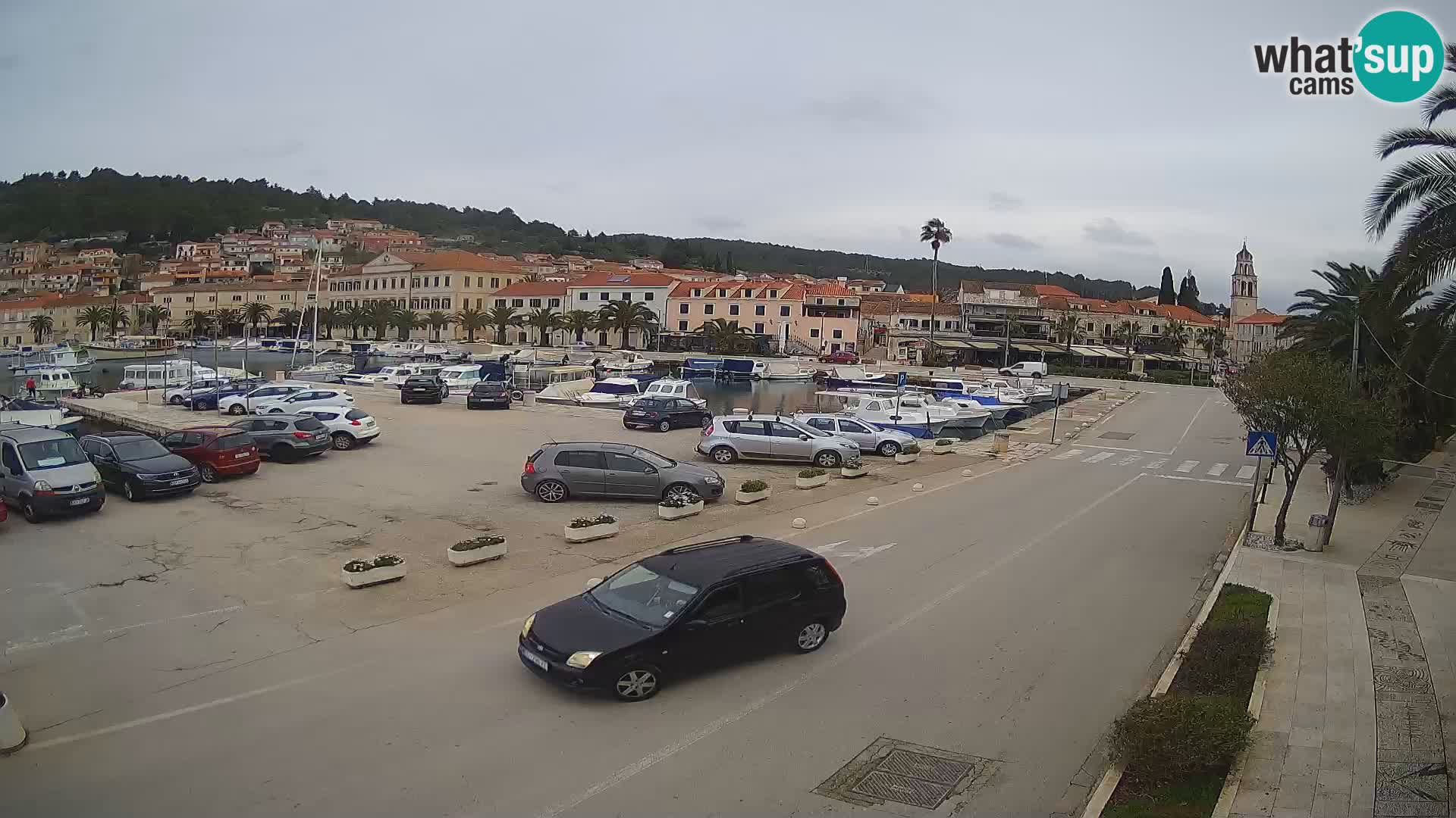 Vela Luka – Korčula – Webcam Live