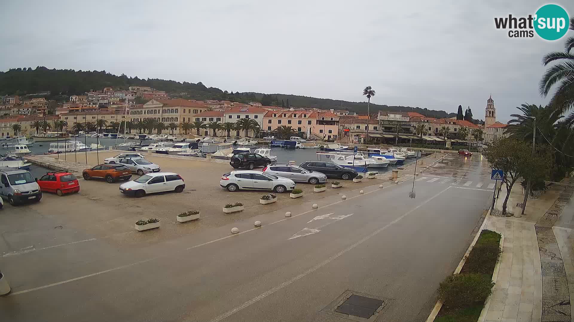 Vela Luka – Korčula – Webcam Live