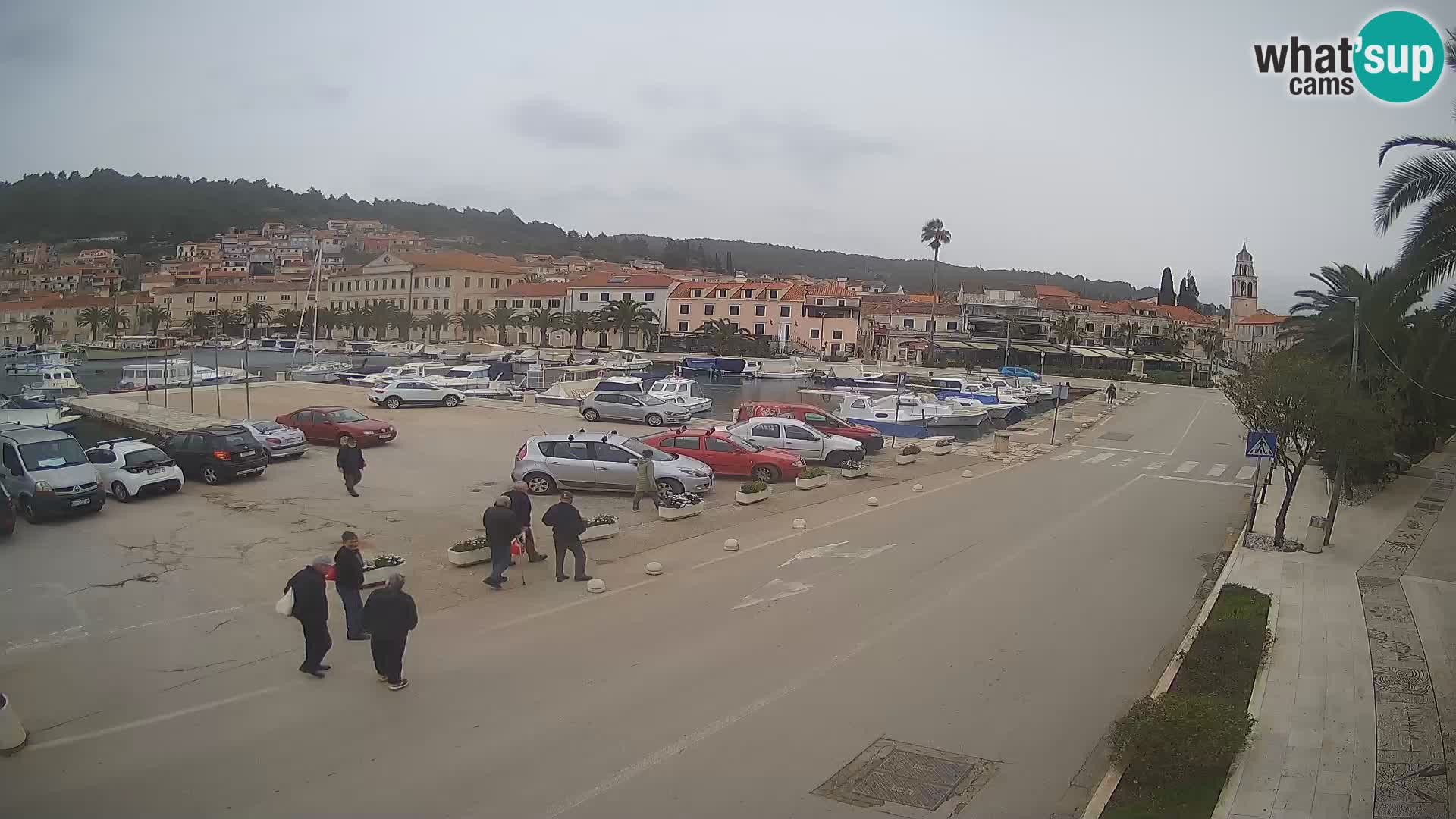 Vela Luka – Korčula