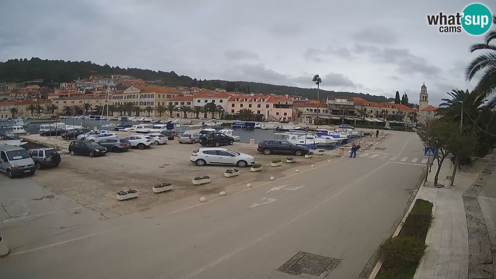 Vela Luka – Korčula – Webcam Live