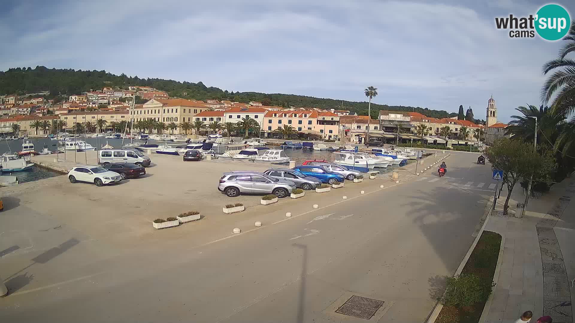 Vela Luka – Korčula – Webcam Live