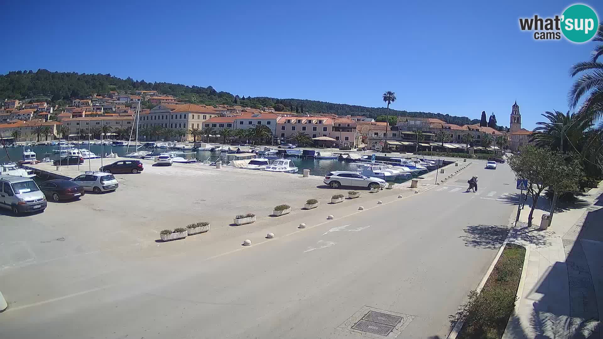 Vela Luka – Korčula – Webcam Live