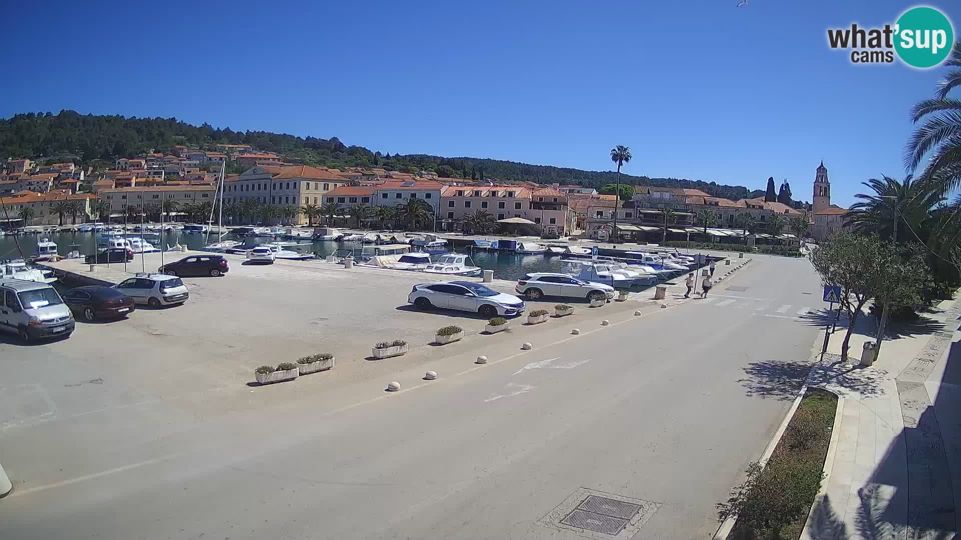 Vela Luka – Korčula