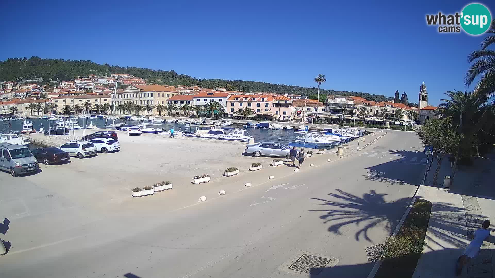 Vela Luka – Korčula