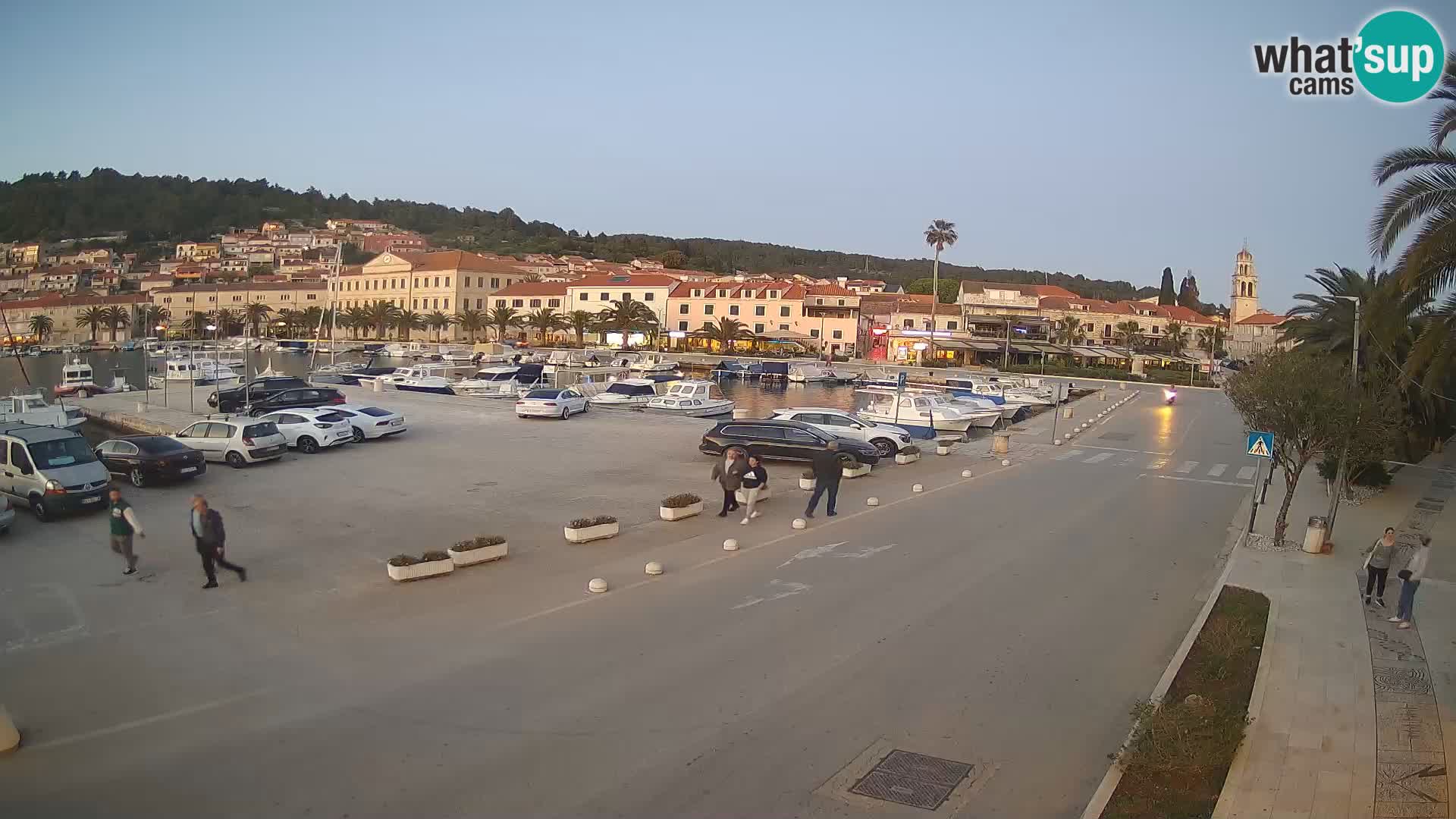 Vela Luka – Korčula