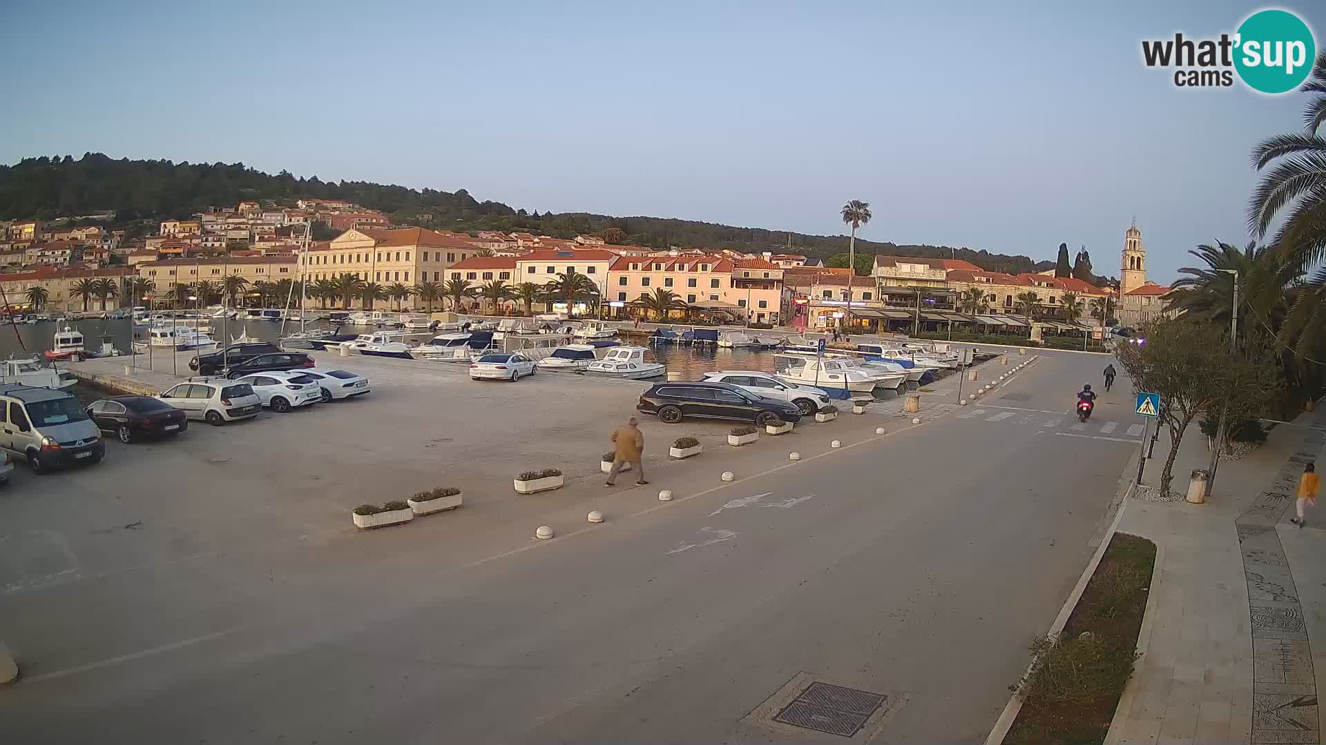 Vela Luka – Korčula