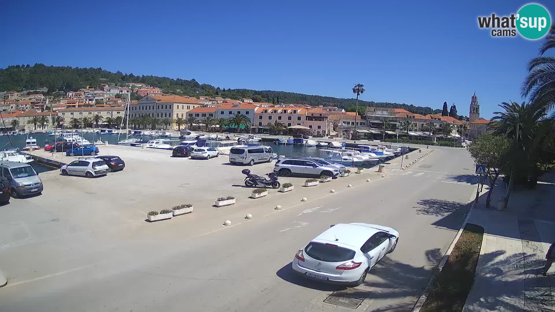 Vela Luka – Korčula – Webcam Live