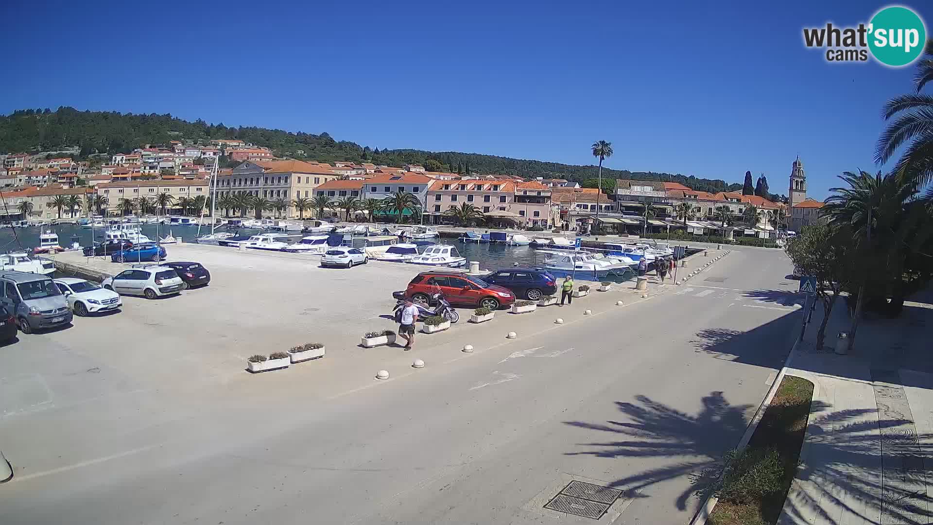 Vela Luka – Korčula