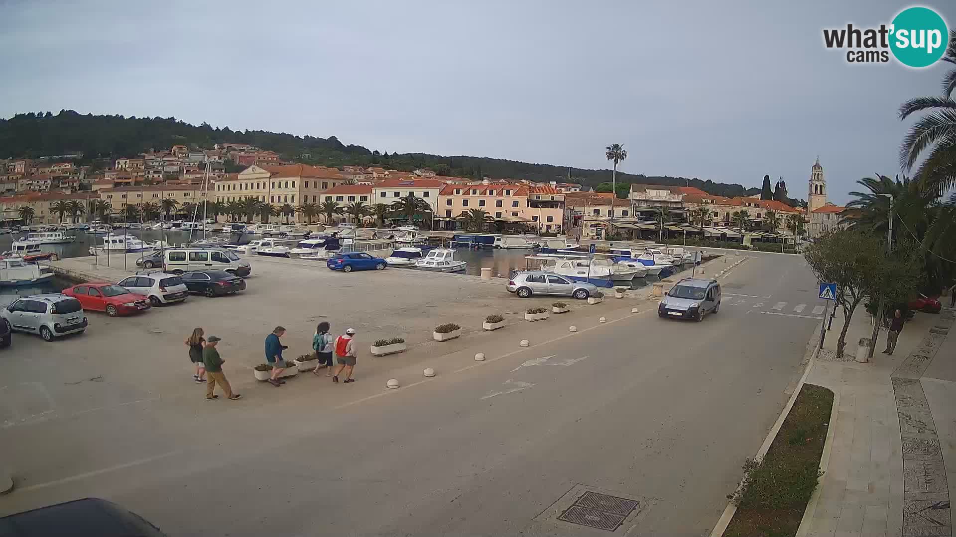 Vela Luka – Korčula