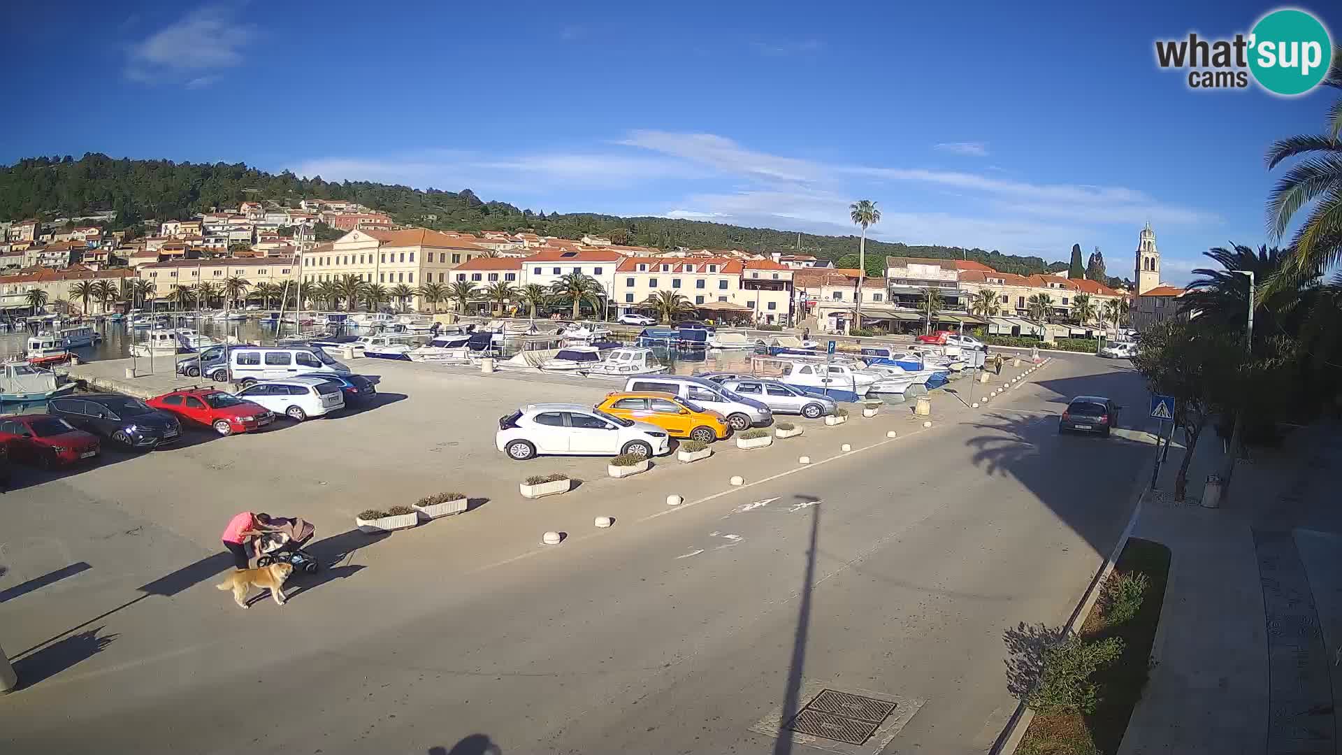 Vela Luka – Korčula